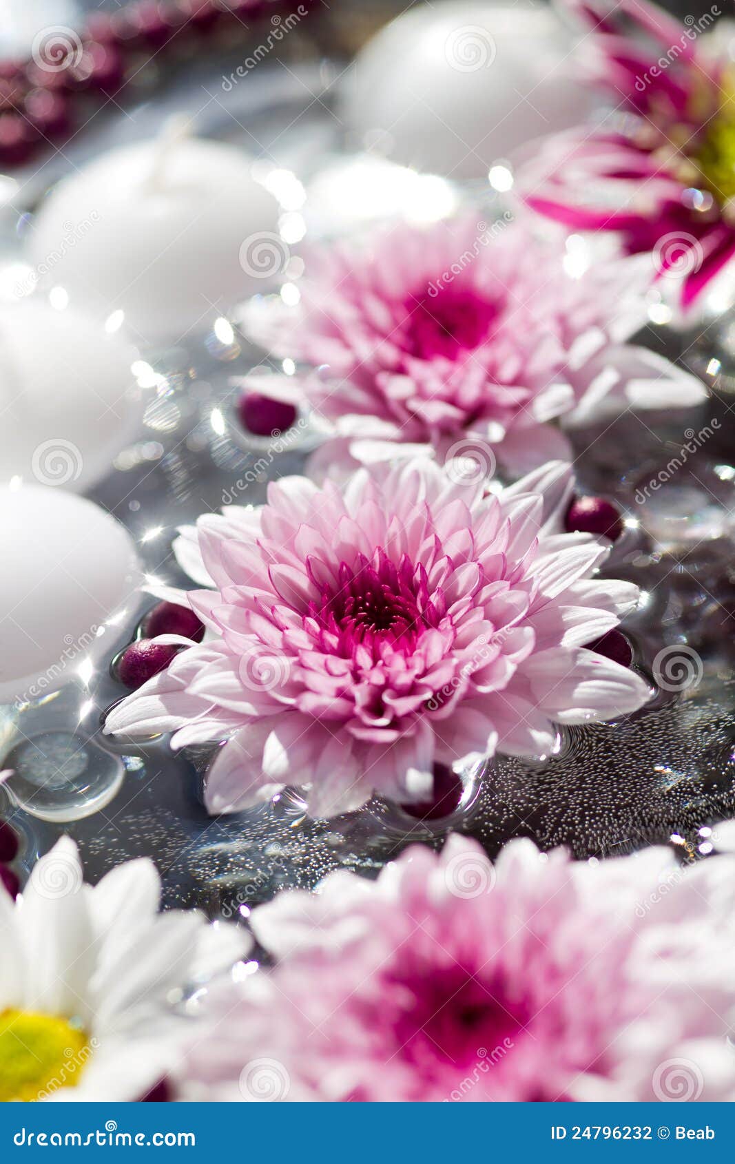 Macro Shot Of Flower Table Decorations Stock Photography - Image ...