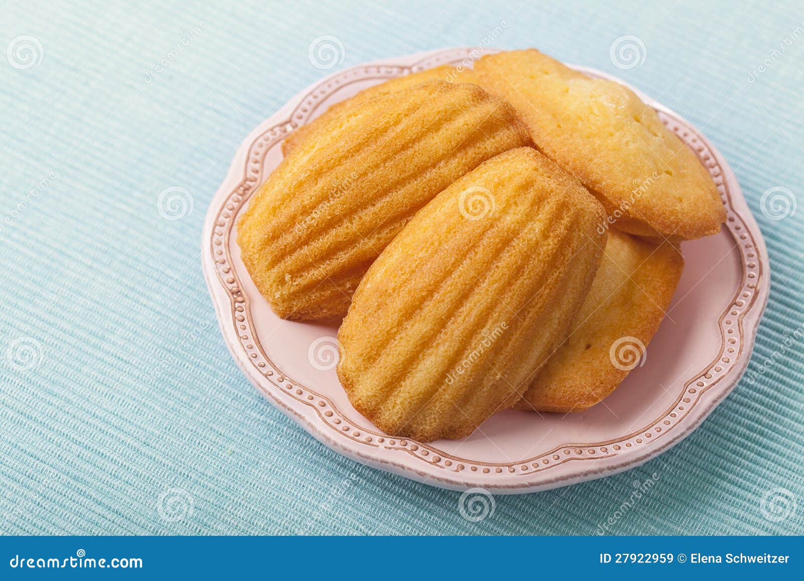 madeleine royalty free stock images image 27922959 madeleine royalty free stock images image 27922959