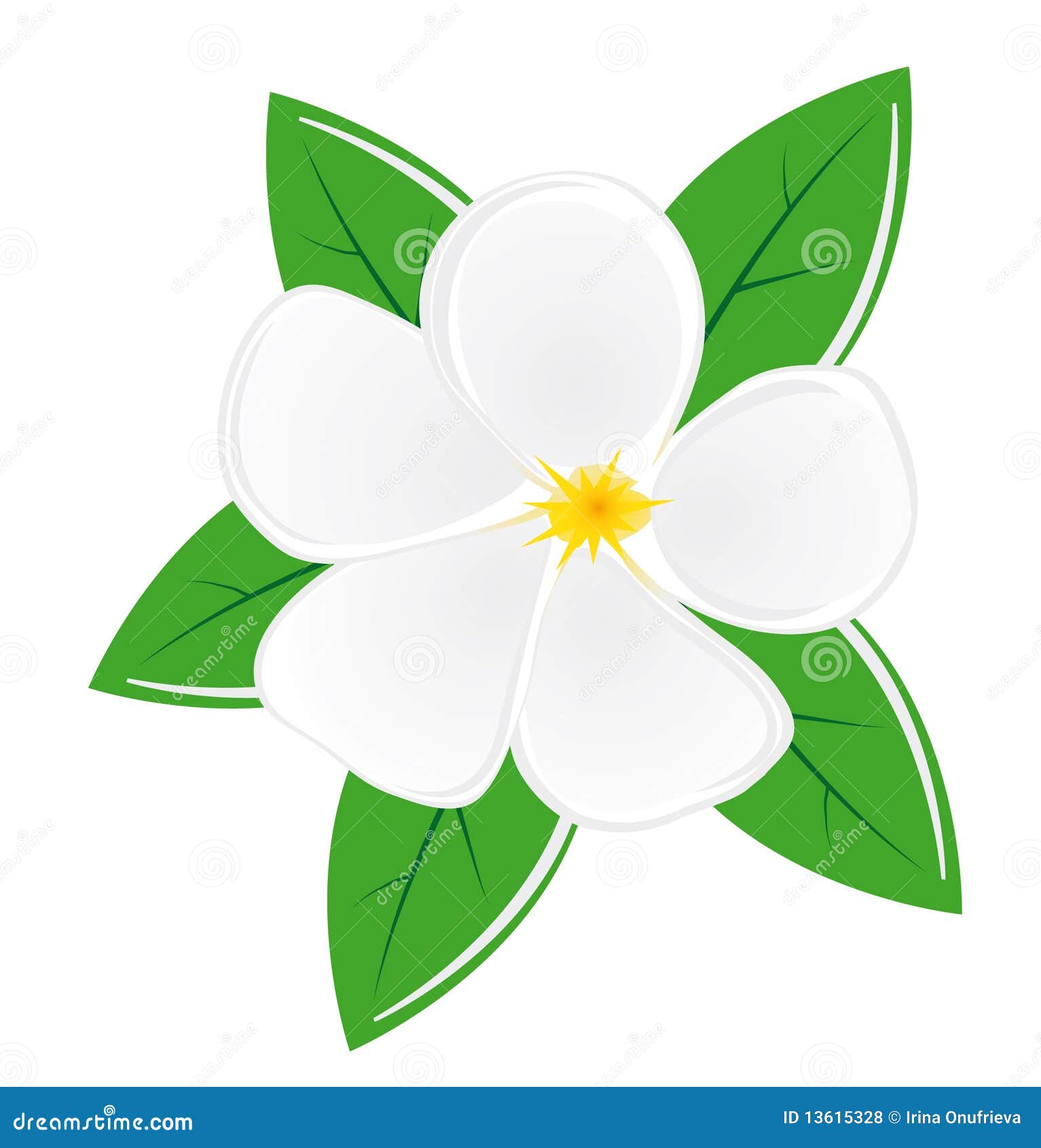 free clip art magnolia flower - photo #43