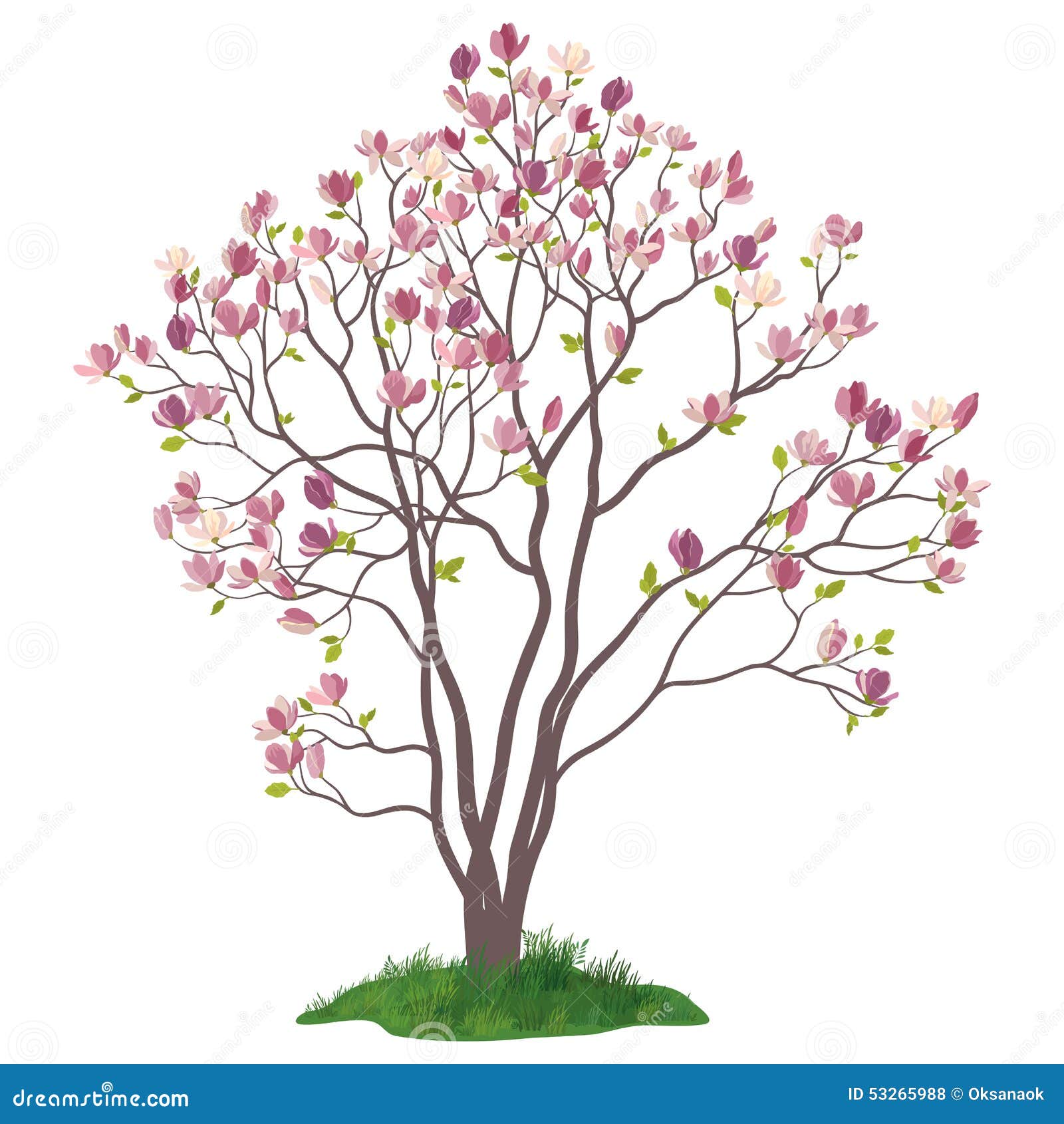 clipart of magnolia tree - photo #3