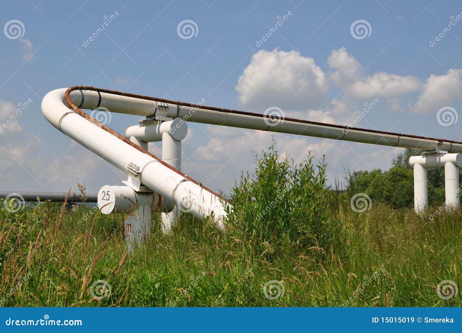 The main oil pipeline of a high pressure in a summer landscape under 
