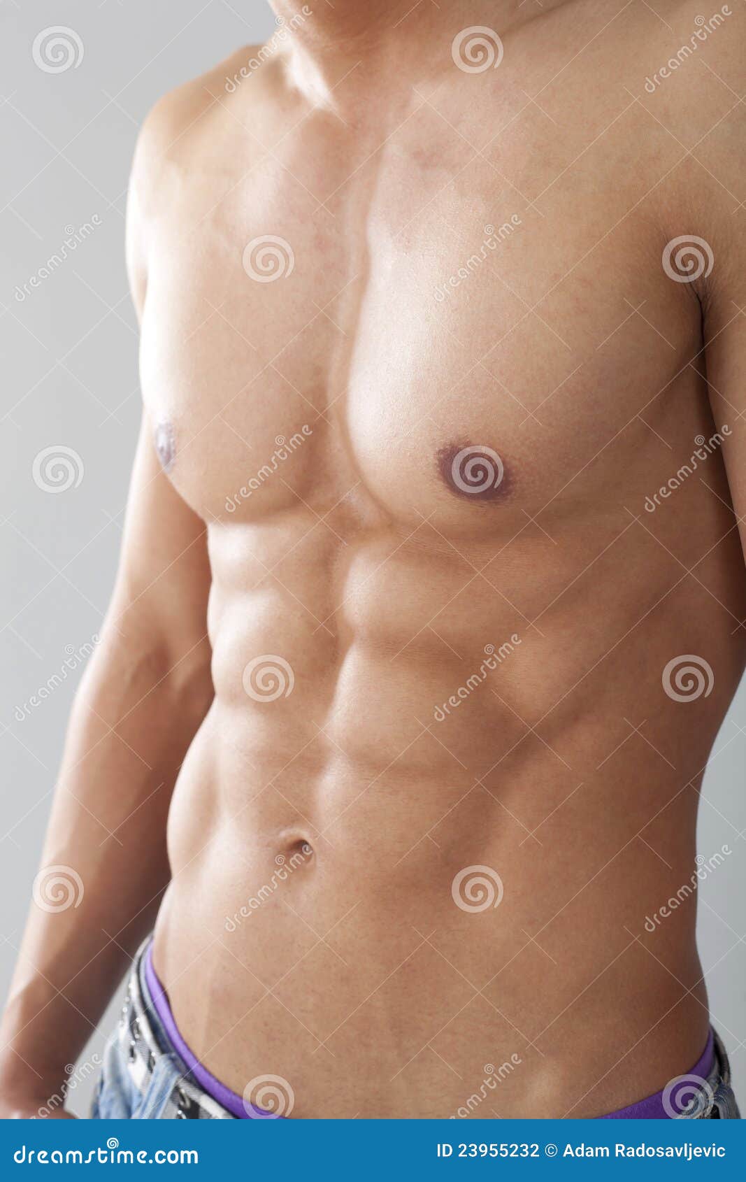 Male Chest And Muscles Stock Photography - Image: 23955232