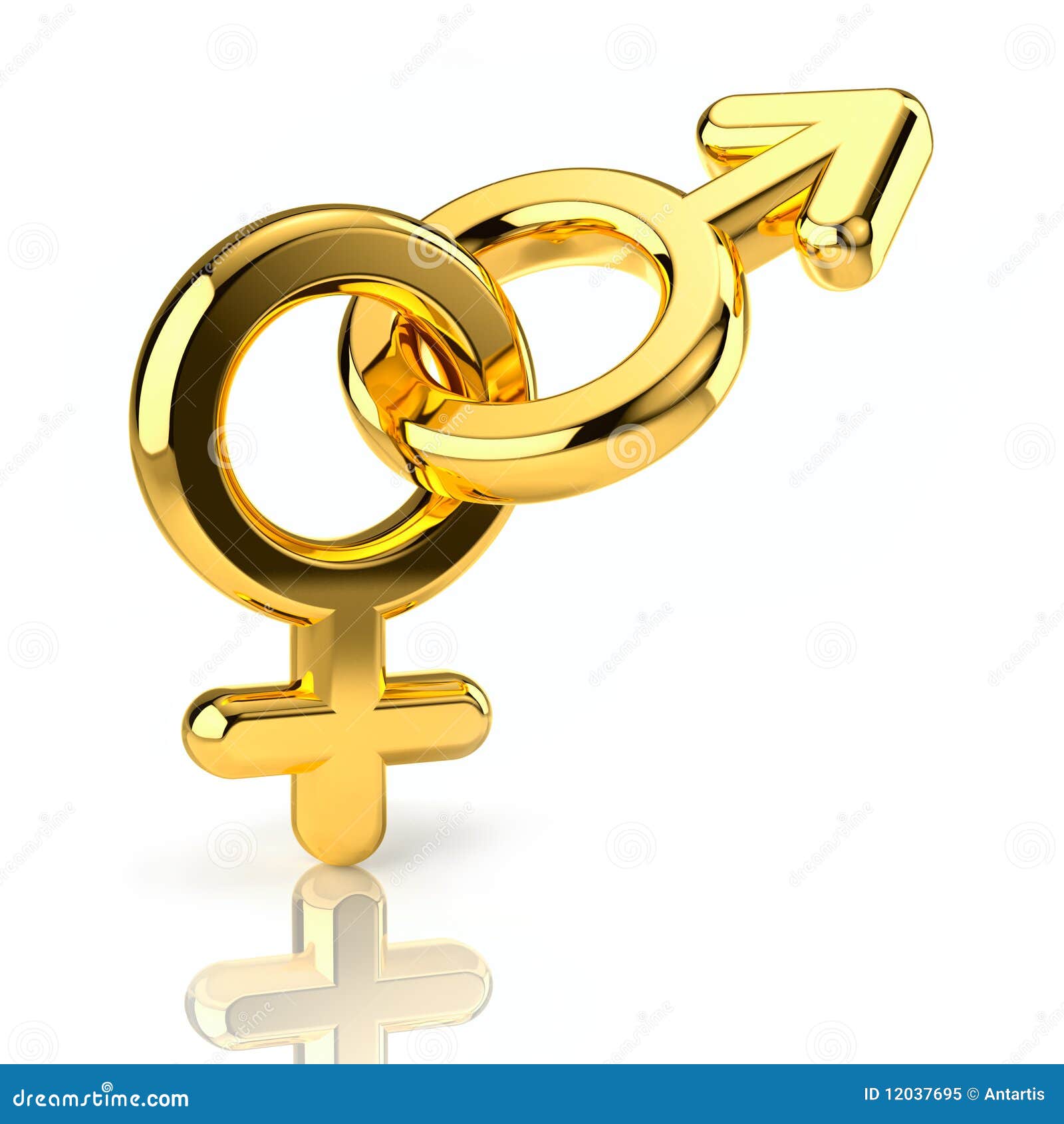 Dollar Sign Rings Female Dollar Sign Rings Female