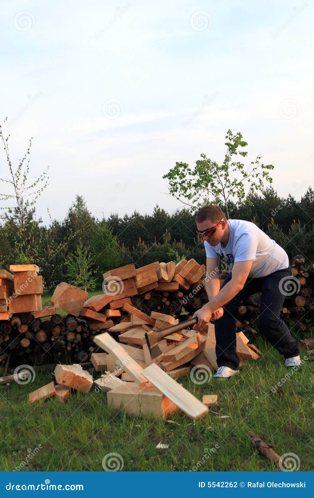 Man Chopping Wood Stock Photography - Image: 5542262