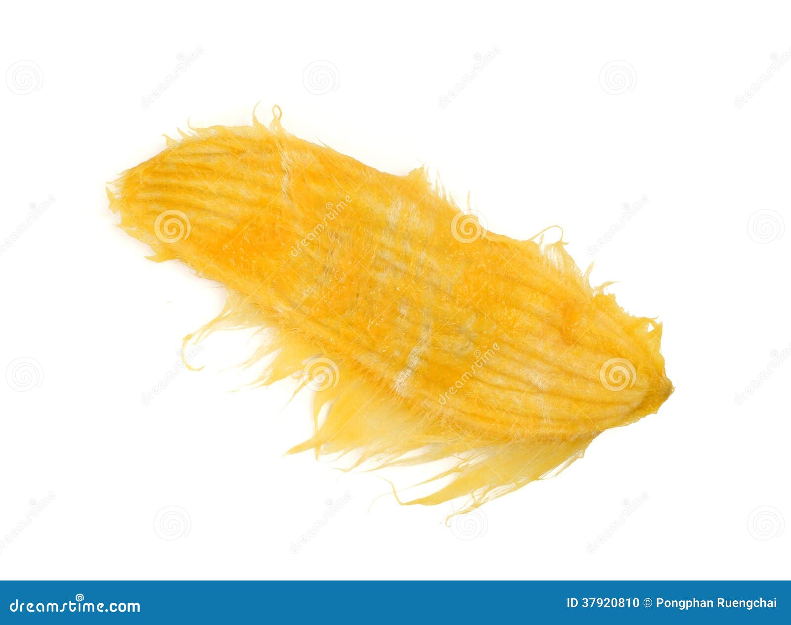 Mango Seed Stock Photo Image 37920810