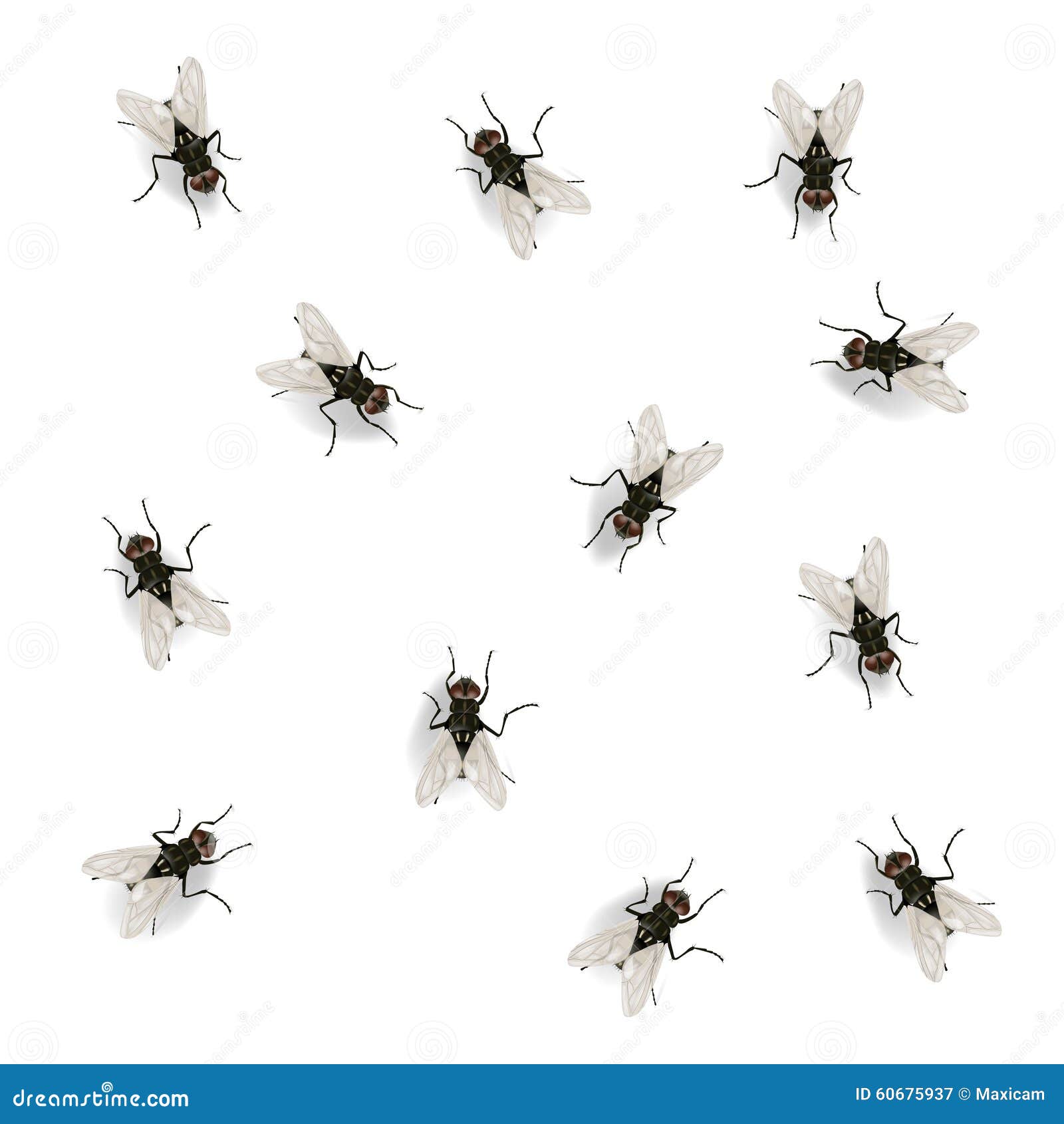 fly on the wall clipart - photo #19