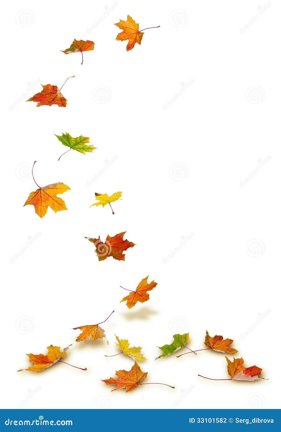 clip art leaves blowing - photo #45