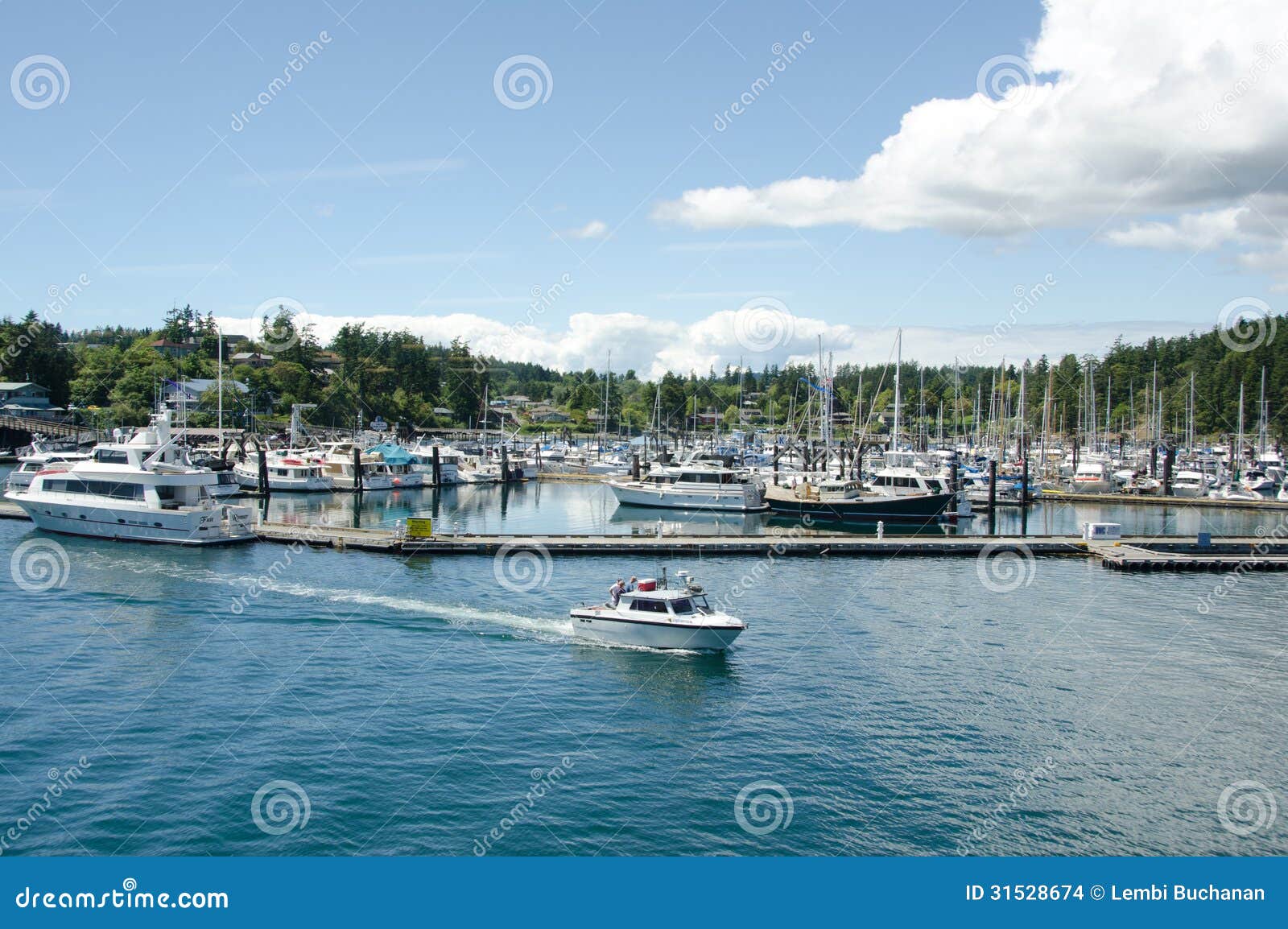 at friday harbor read marina at friday harbor on san juan island editorial stock at friday harbor read marina at friday harbor on san juan island editorial stock