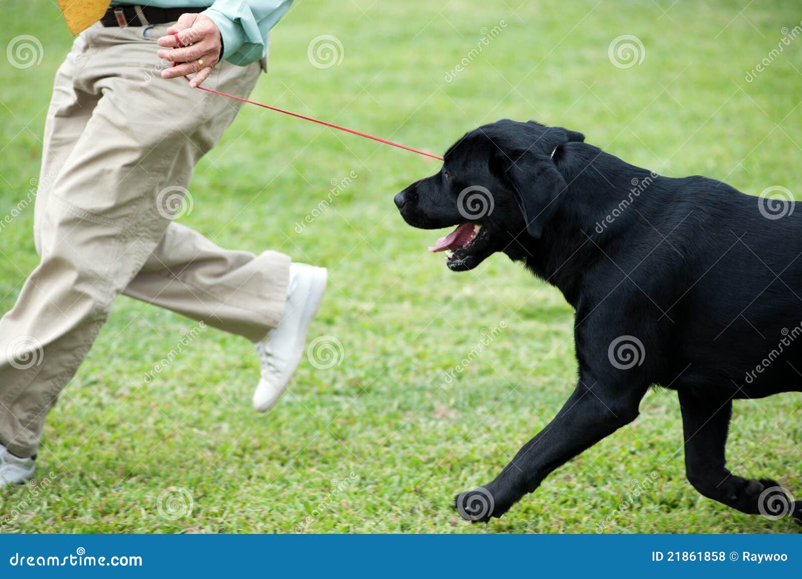 Master Playing With His Dog Royalty Free Stock Photos - Image 