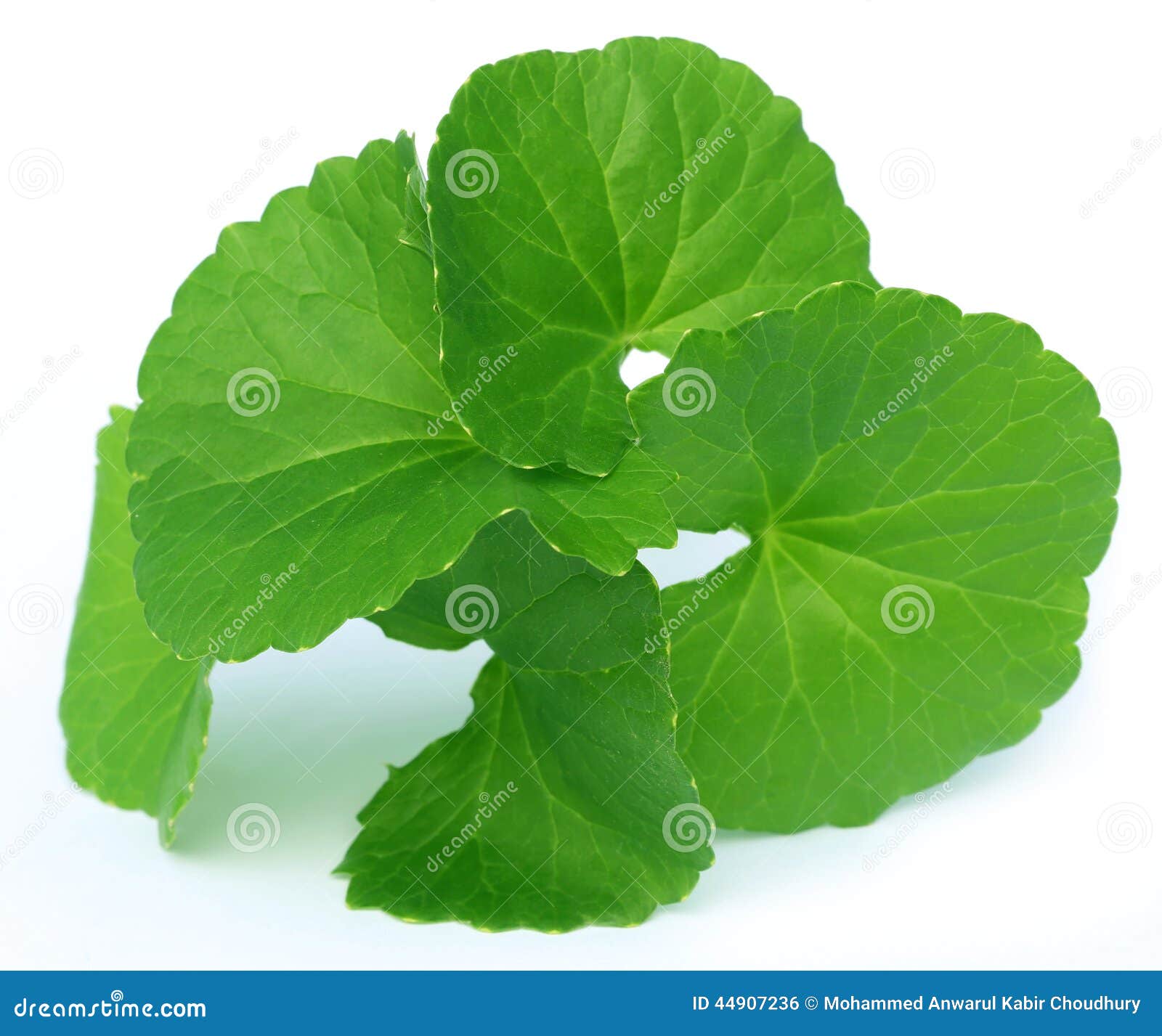 My Image 10