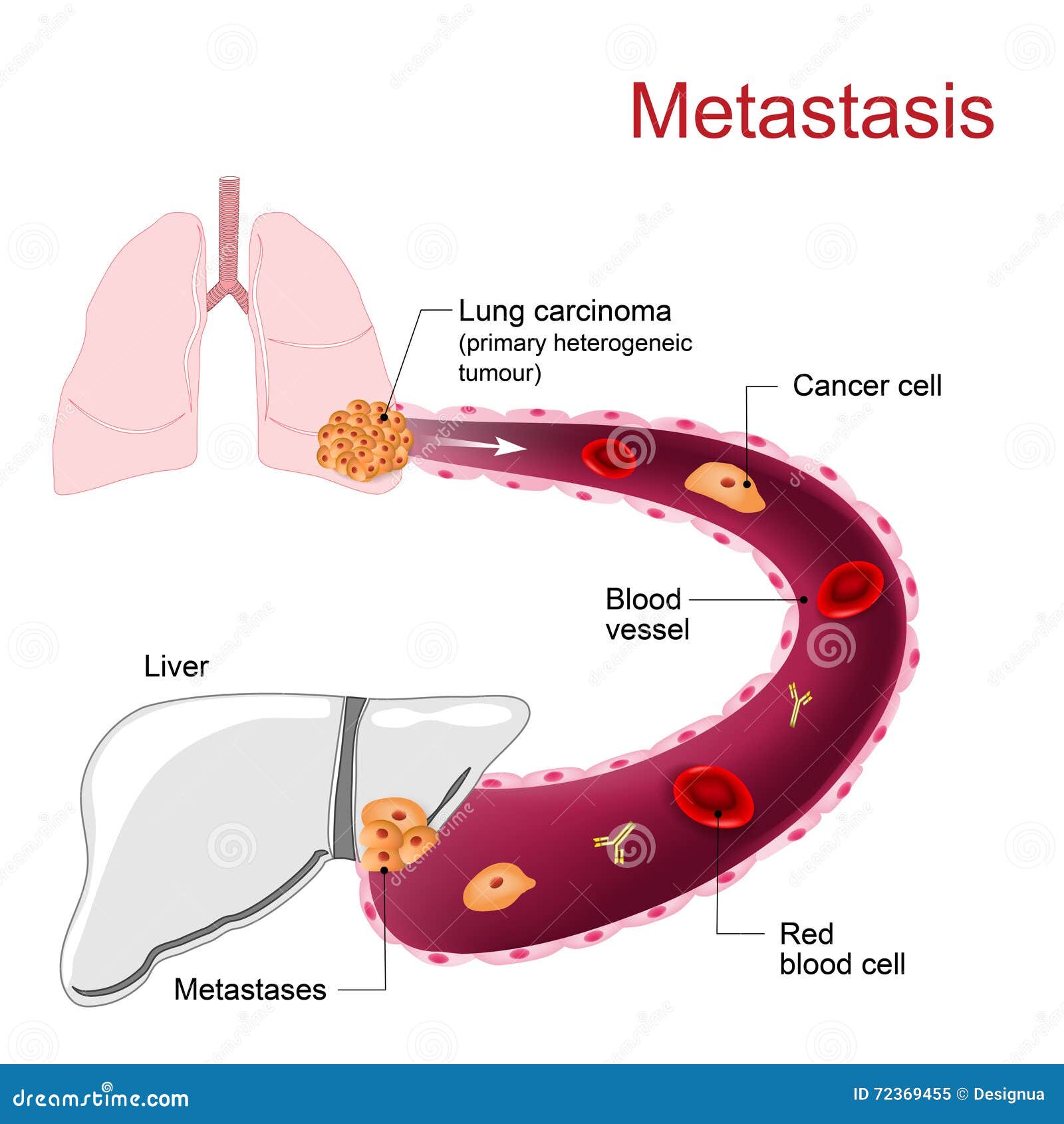 download immunoassays for