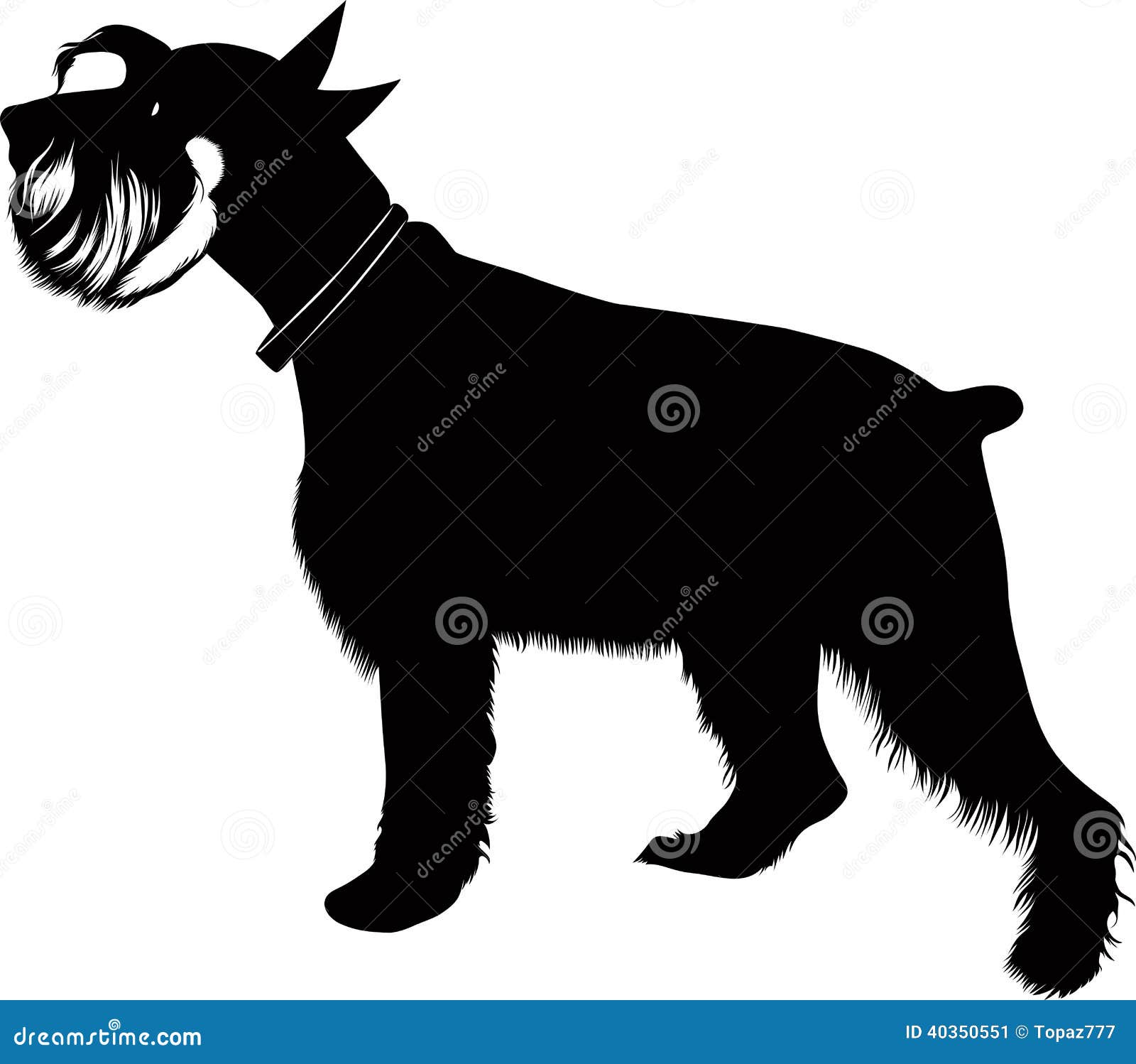 clip art schnauzer dog - photo #28