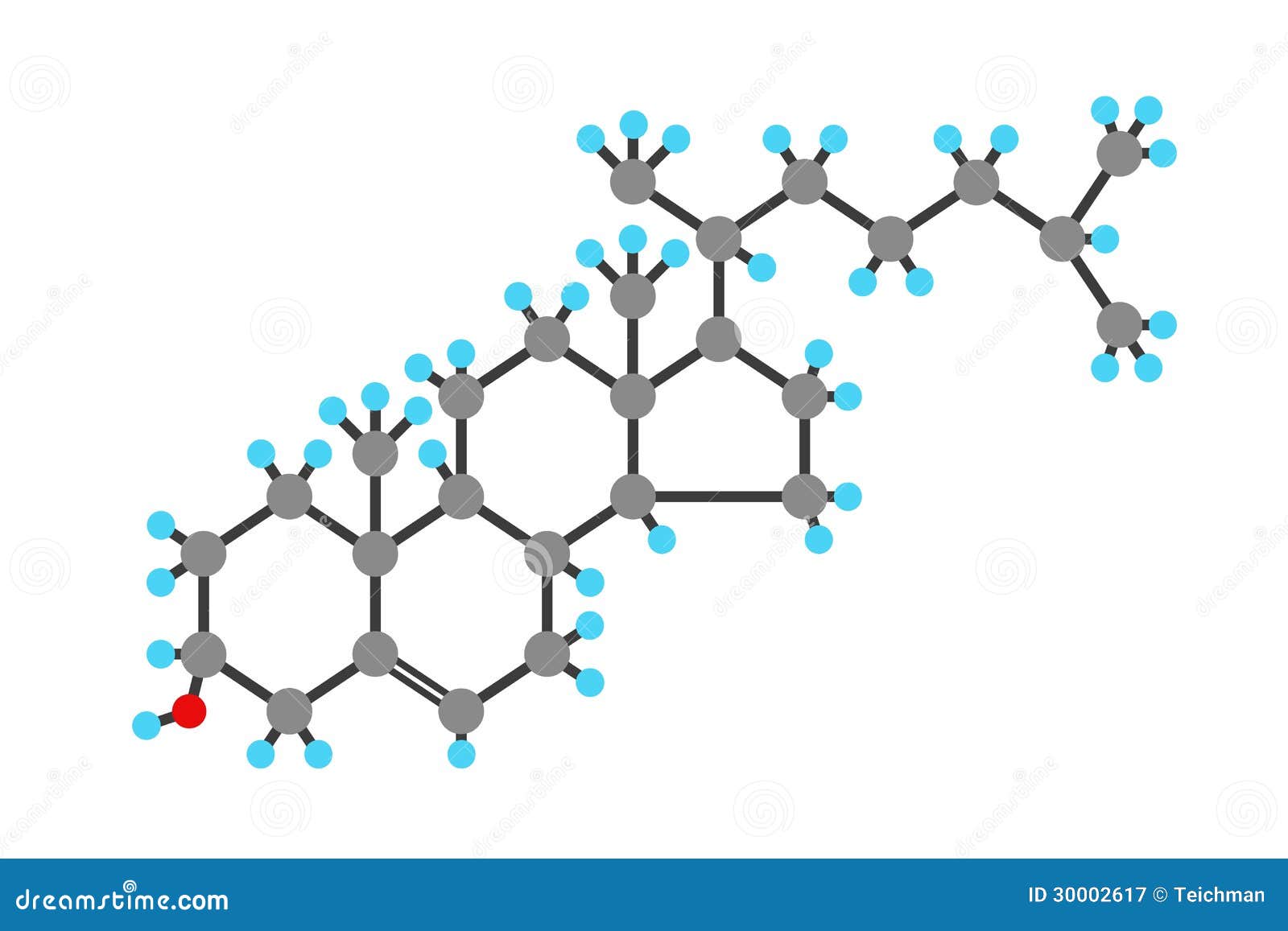 download carbon nanotube-polymer composites