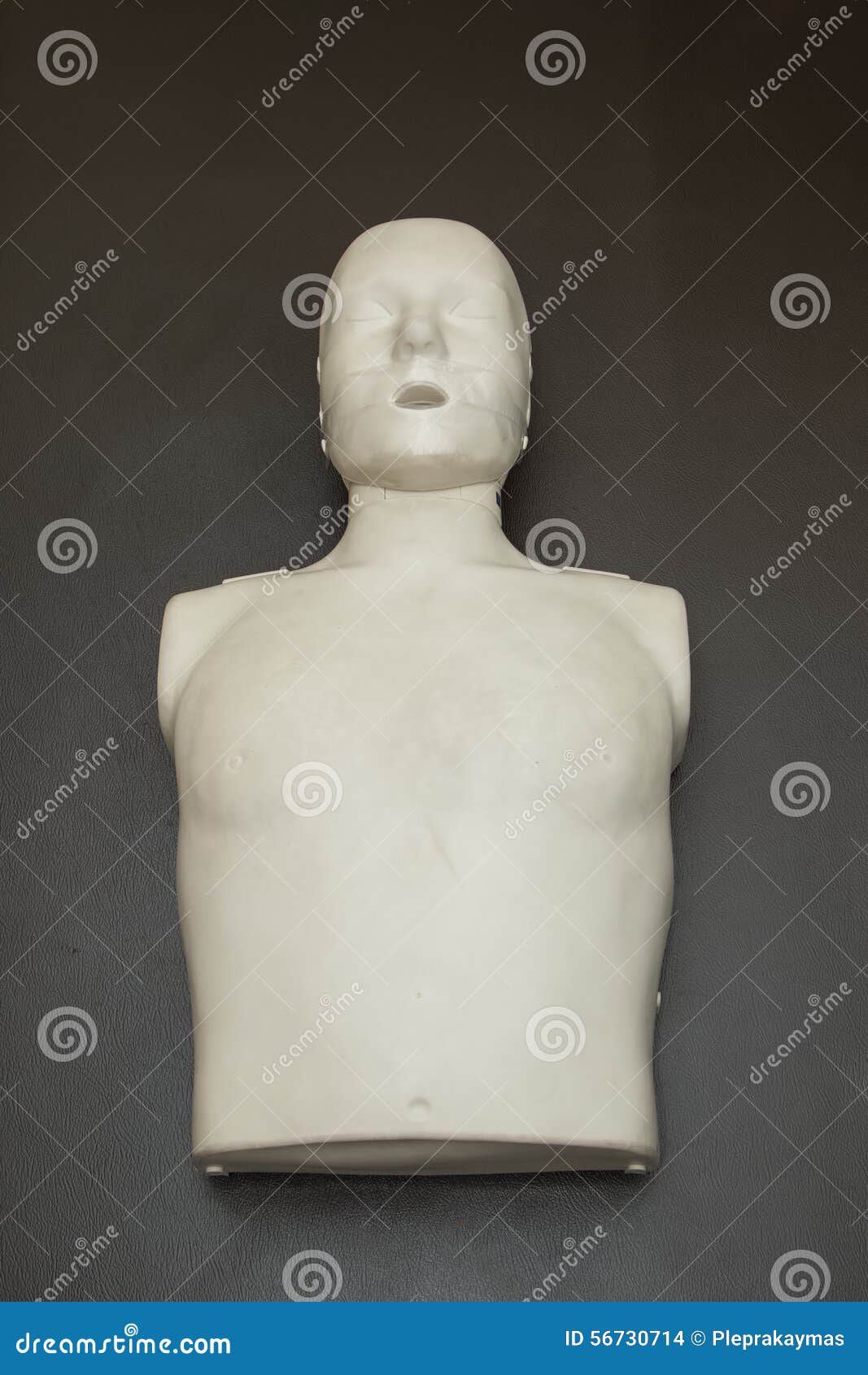 Model Of Dummy Stock Photo Image 56730714