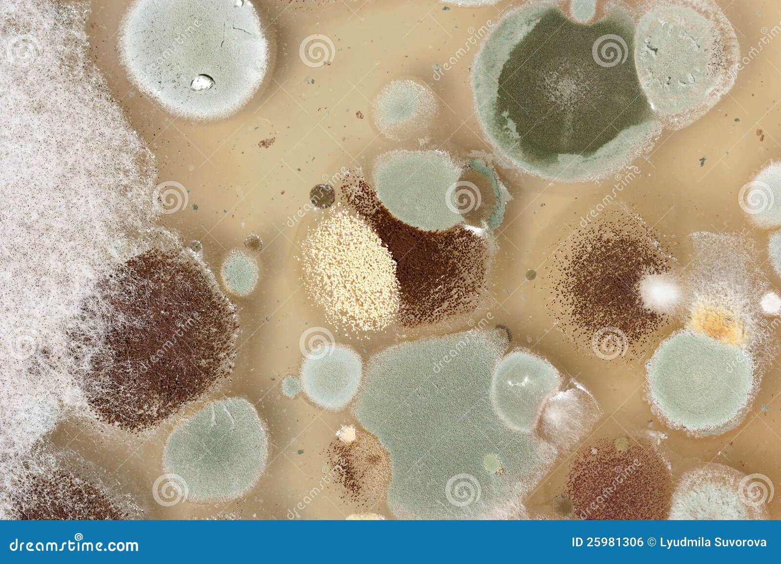 How Repair An Inflatable Water Slide The Four Most Individuals Wishek ND