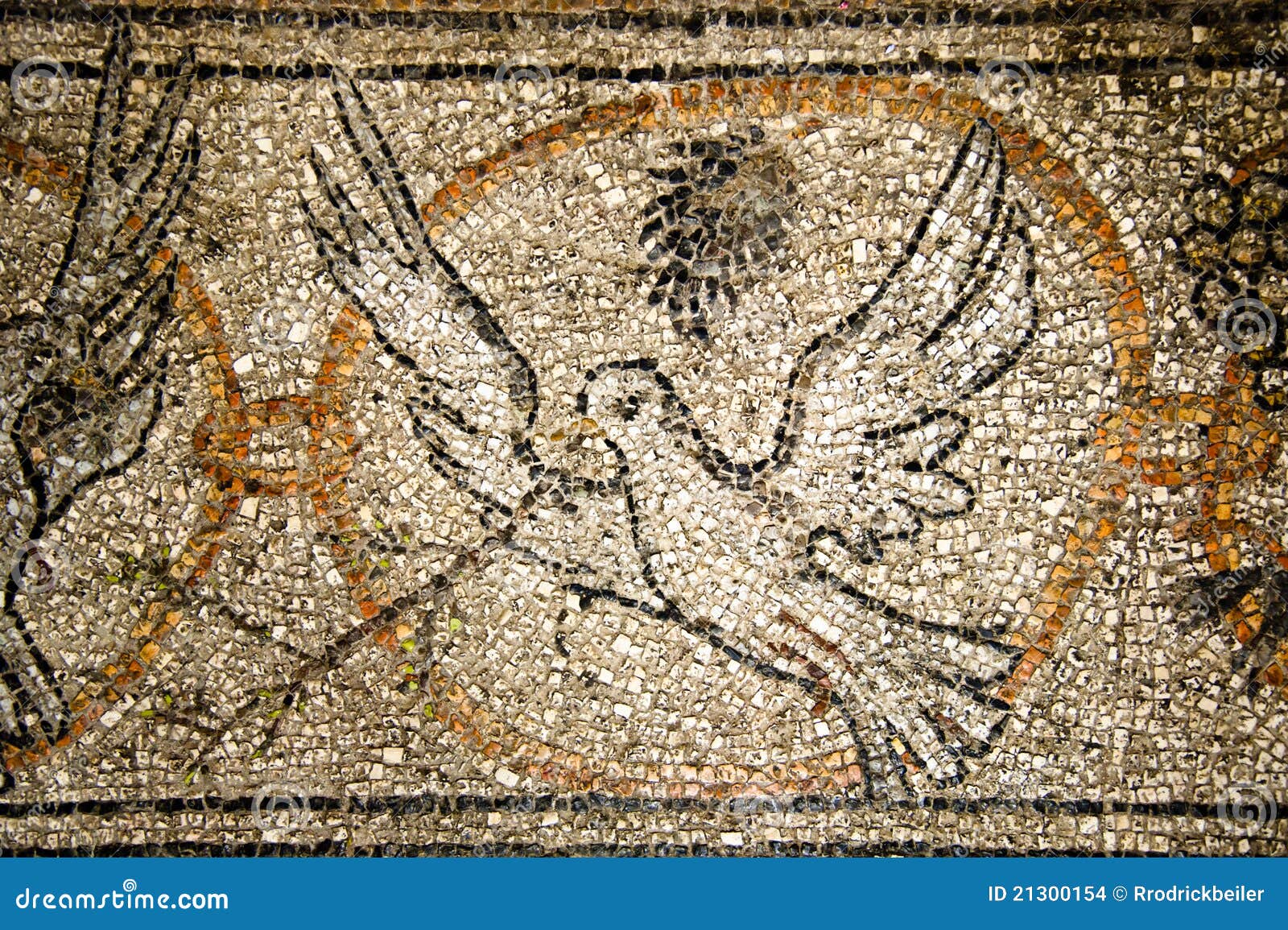 Immagini Della Colomba Della Pace Mosaico Della Colomba Di Pace Immagini Stock - Immagine: 21300154