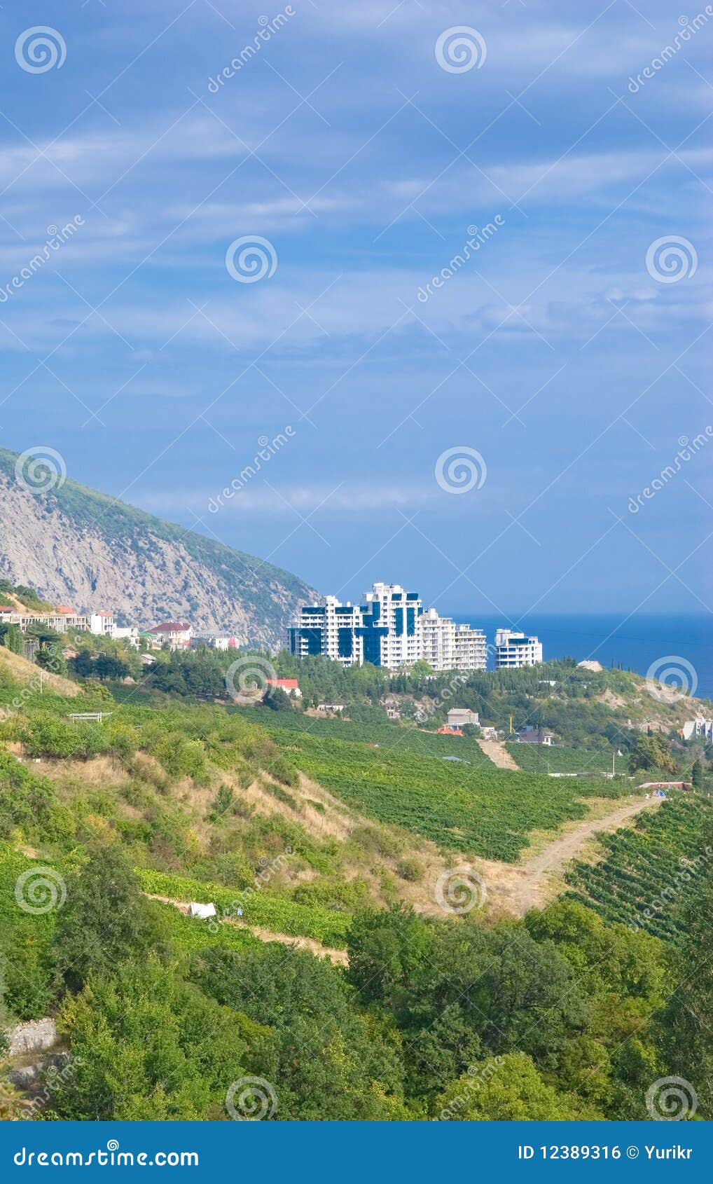 Mountain landscape and vineyard in Crimea, Ukraine.