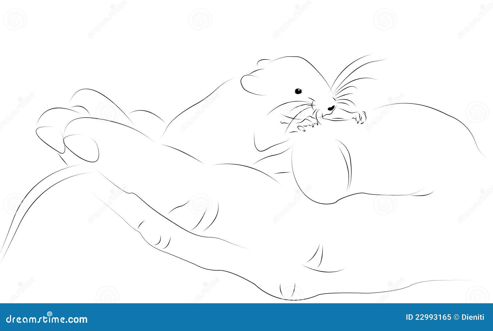 Drawing Lines With Mouse In Java : Mouse in a human hand line drawing royalty free stock