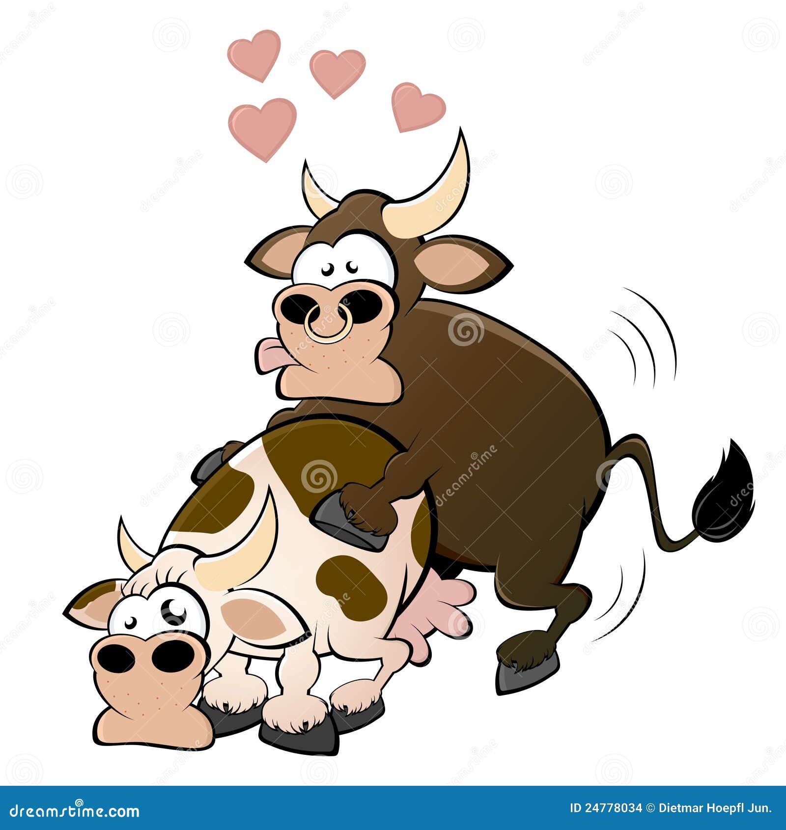 Mucca E Toro Che Hanno Sesso Immagini Stock Immagine 24778034