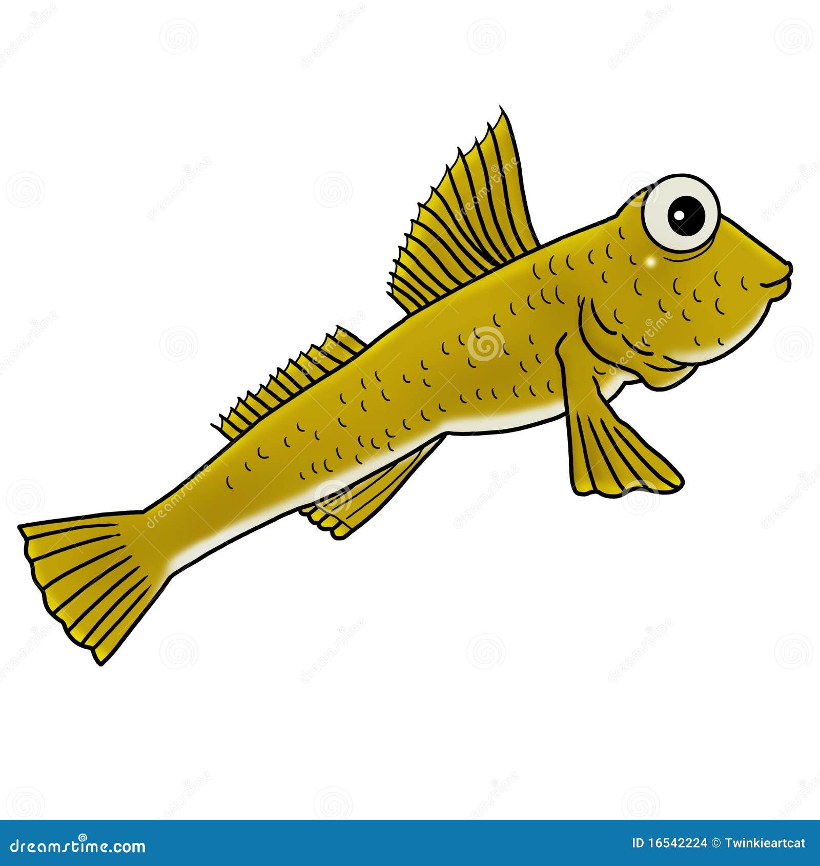 mudfish-stock-images-image-16542224