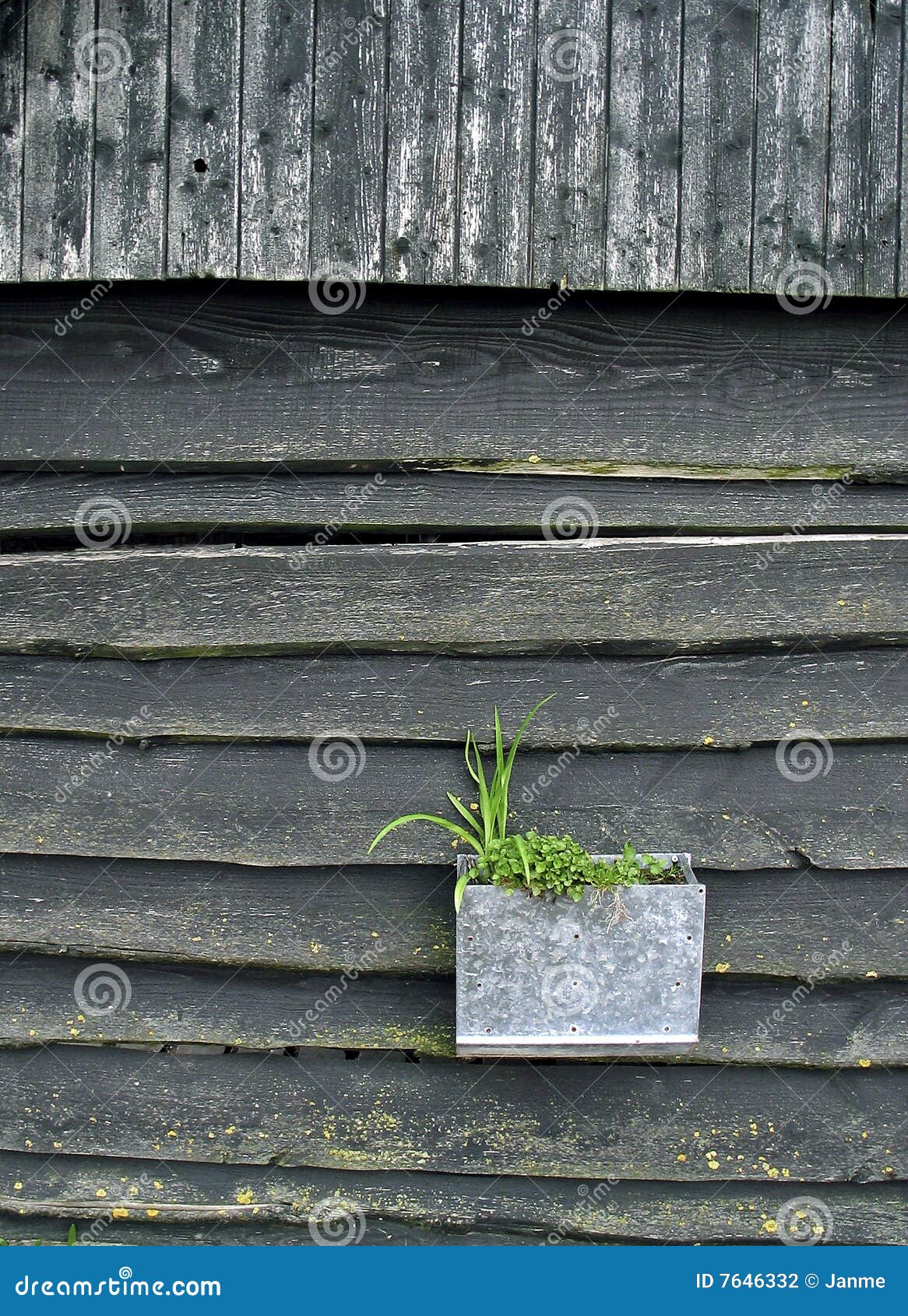Mur Bois De Grange Gris : Wooden Barn Wall Mur Bois De Grange Gris : Wooden Barn Wall