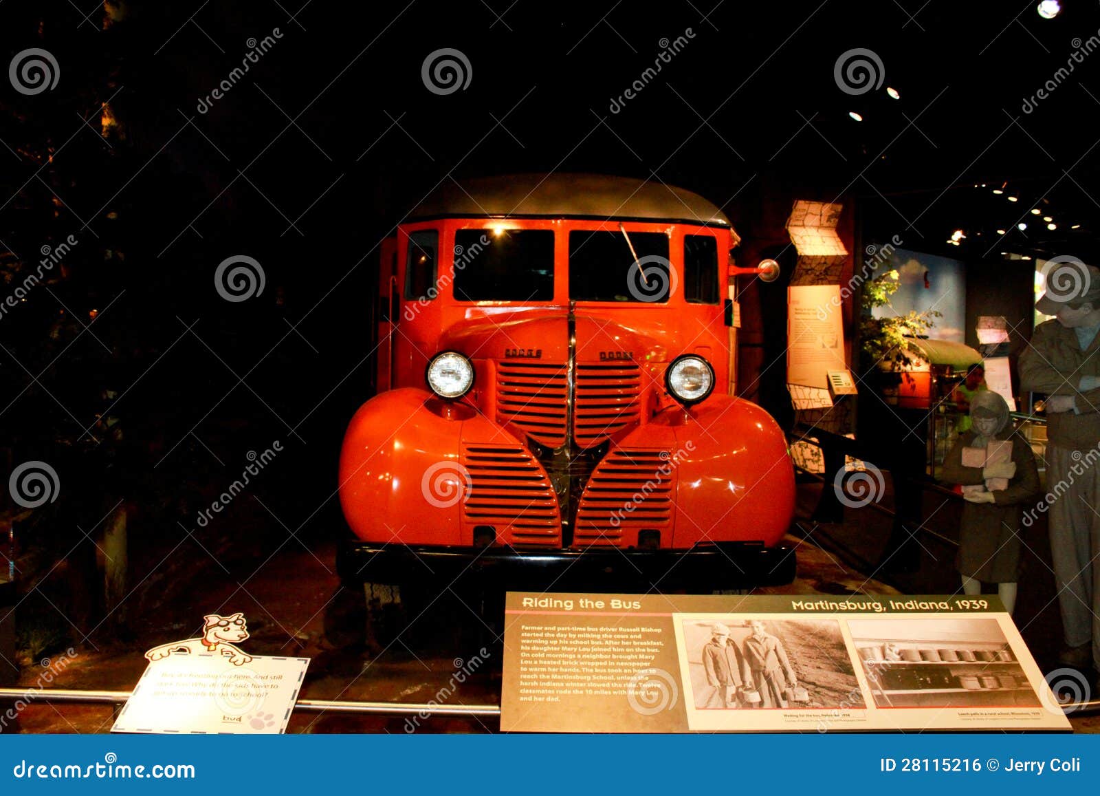 Museum Of Natural History New York Free Days Museum Of Natural History New York Free Days