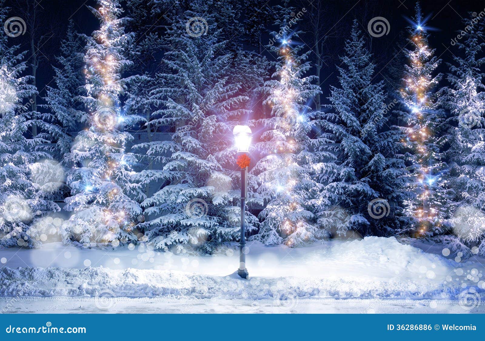 Snowy Christmas Scenery Snowy christmas scenery with