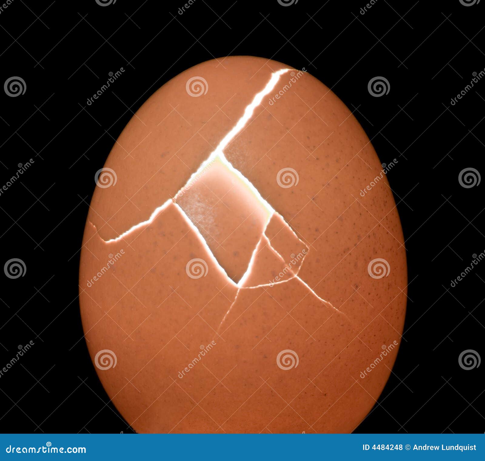 My Image 3