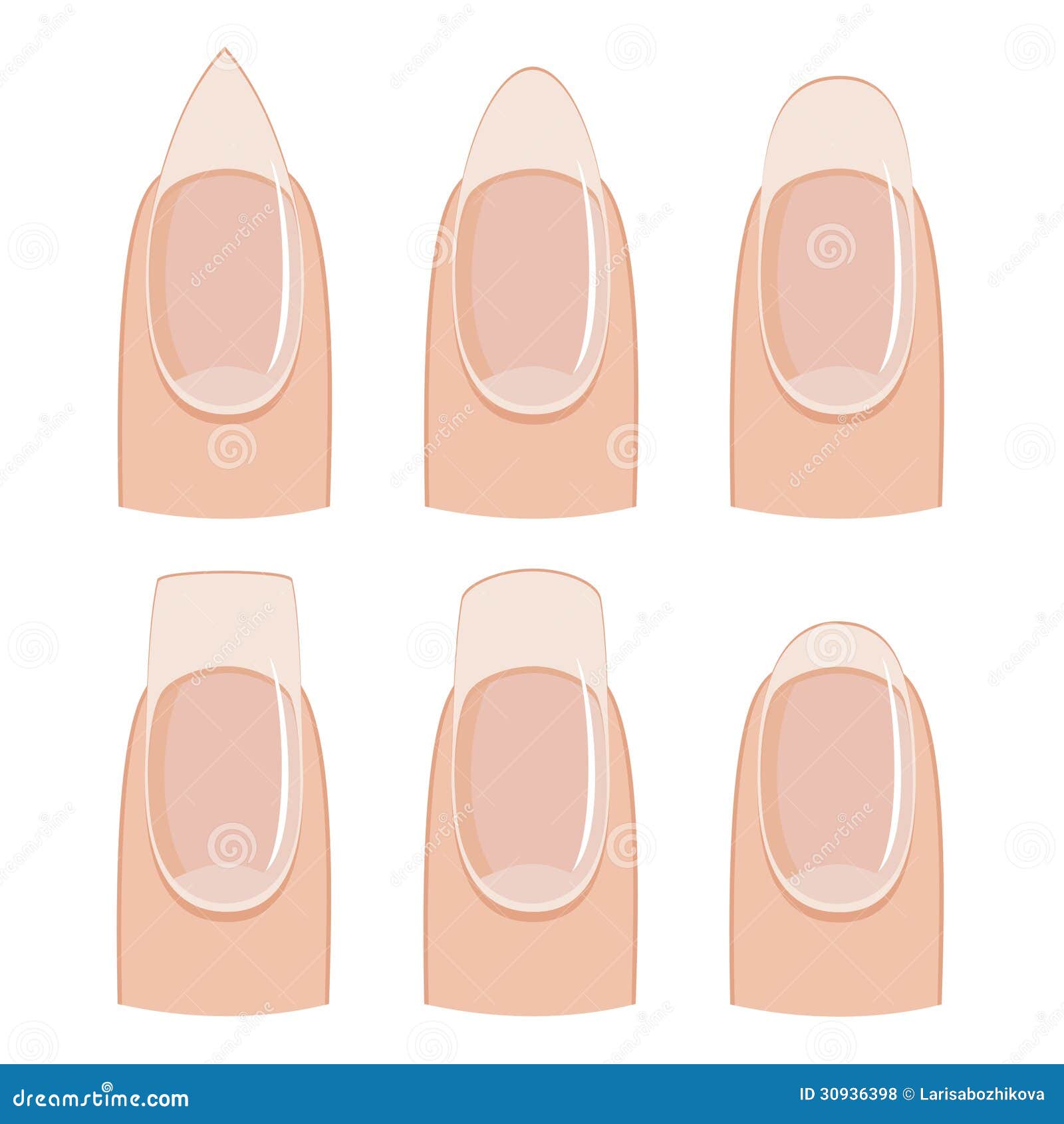 nail-shapes-manicure-shape-white-background-30936398.jpg