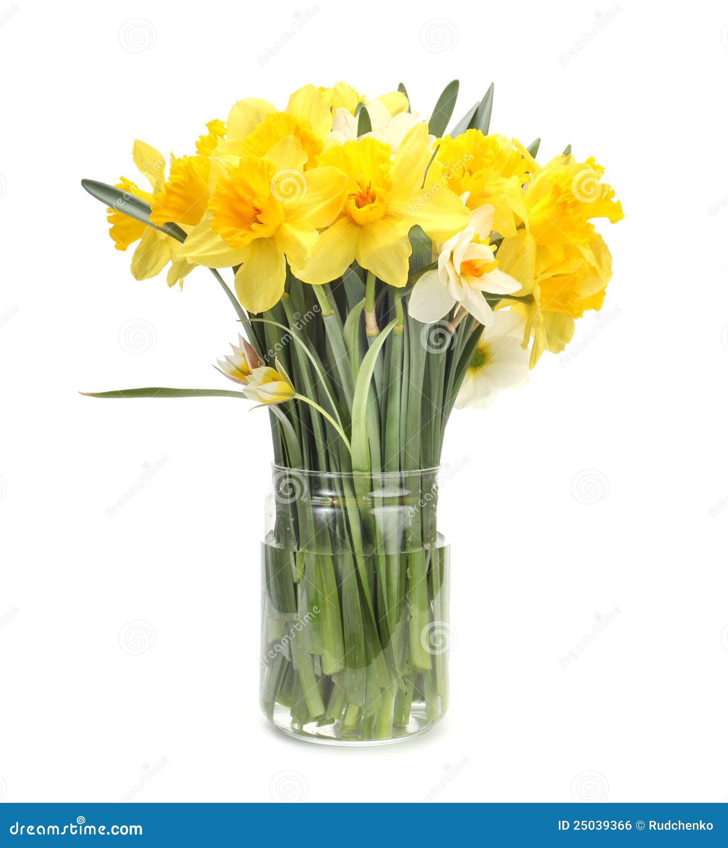 Narcissus Flower Bouquet Royalty Free Stock Image  Image: 25039366
