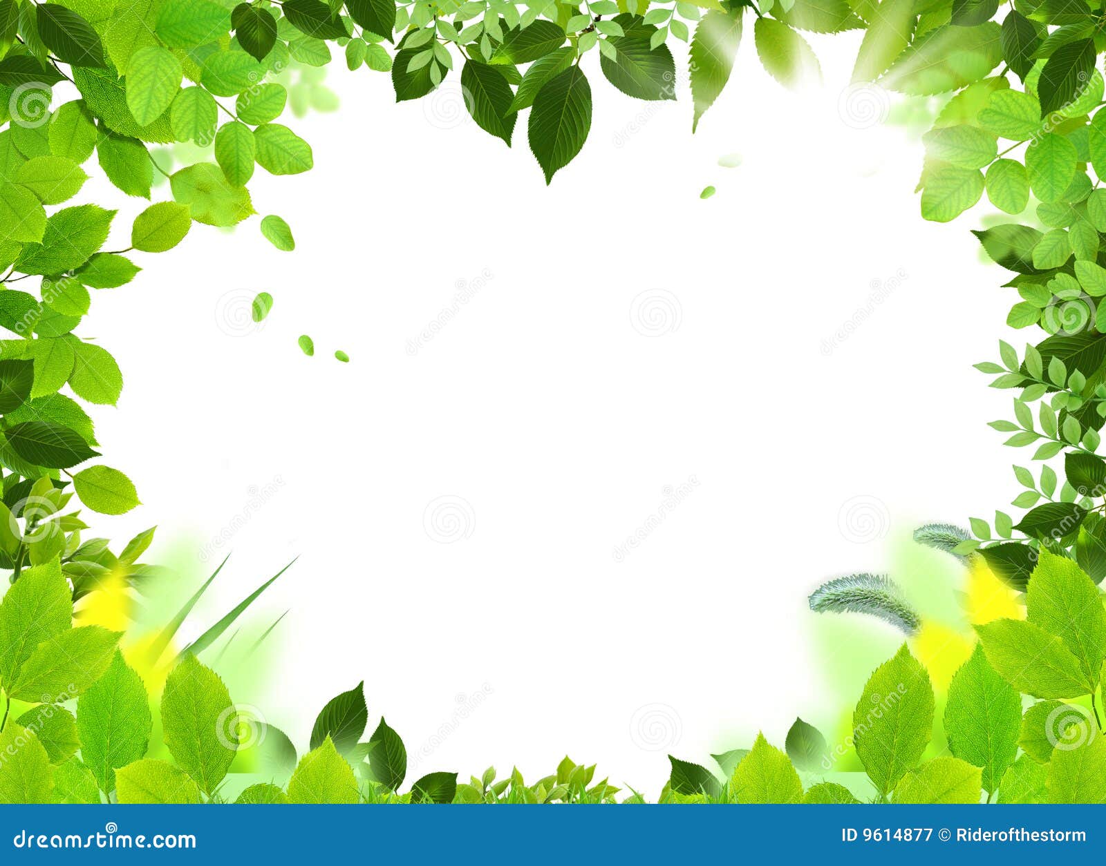 nature photography clipart - photo #20