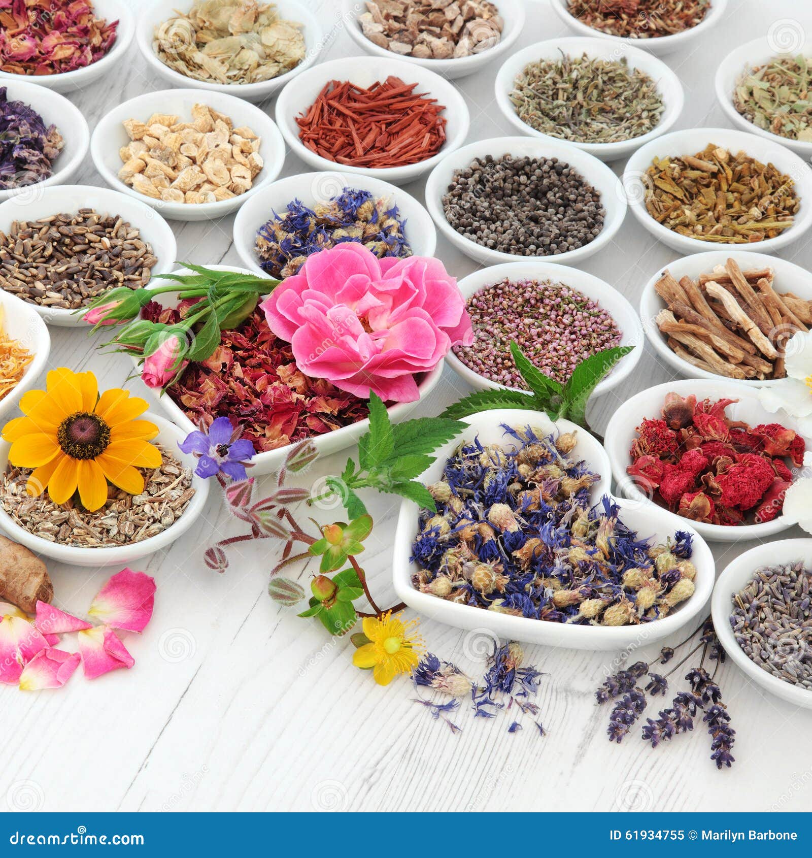 Natural Herb Pills Used For Natural Herb Pills Used For
