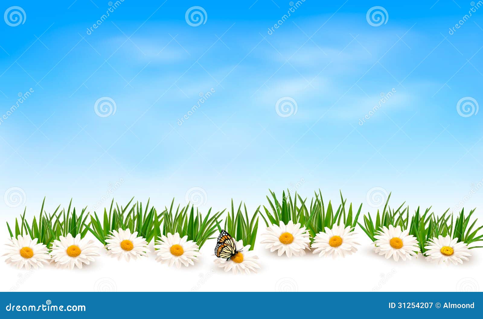 nature photography clipart - photo #31