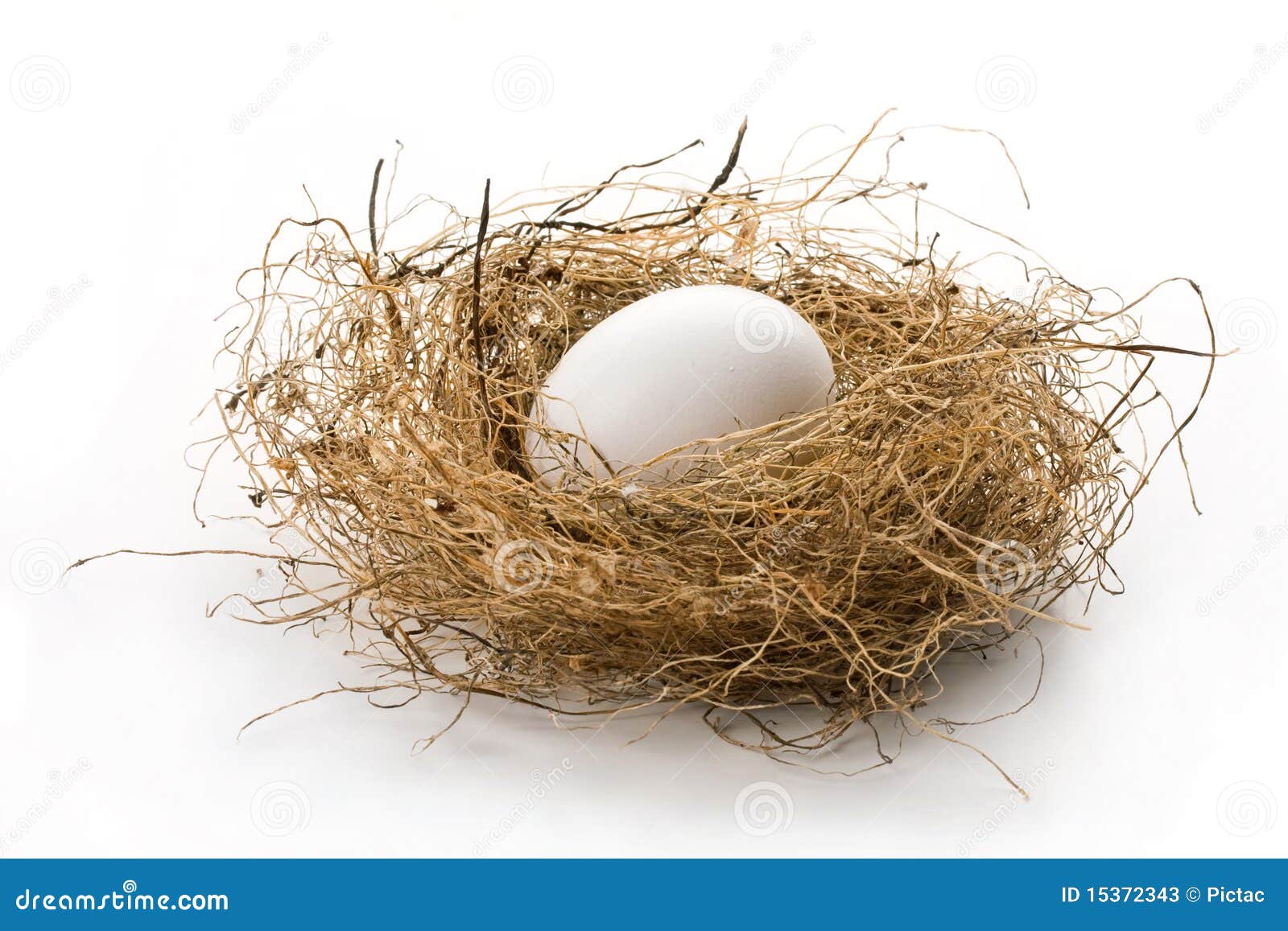clipart birds nest eggs - photo #49