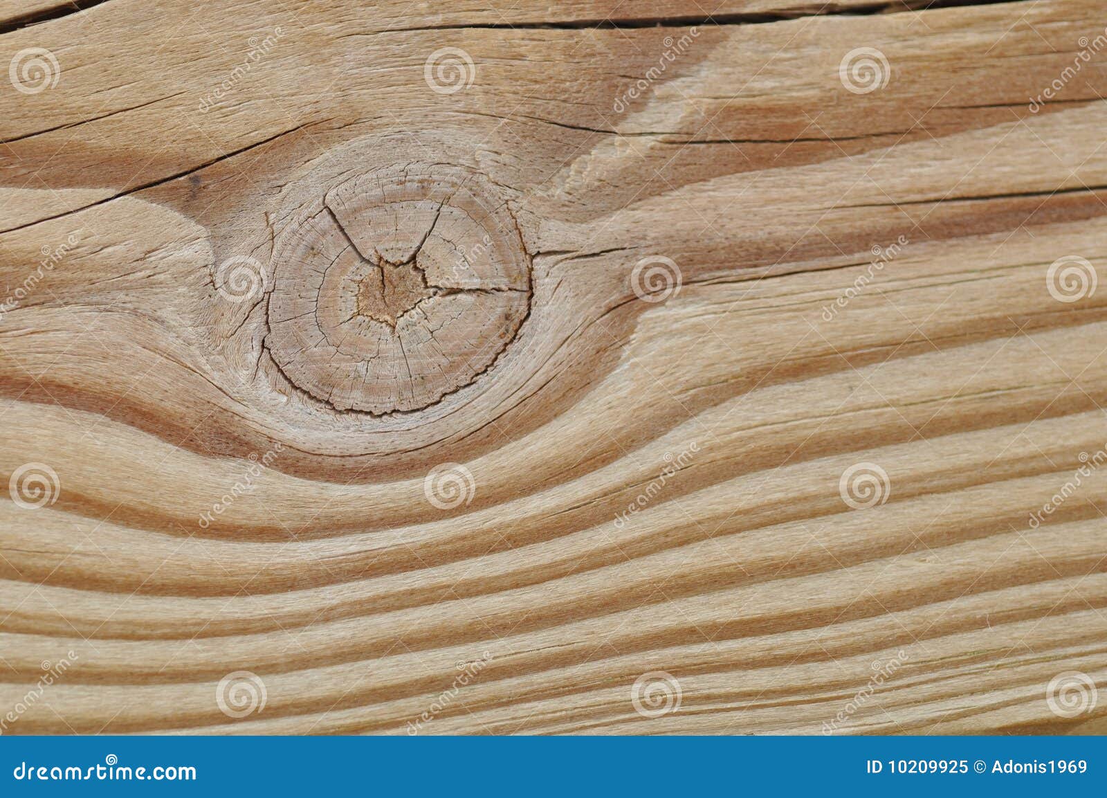 nodo-legno-10209925.jpg