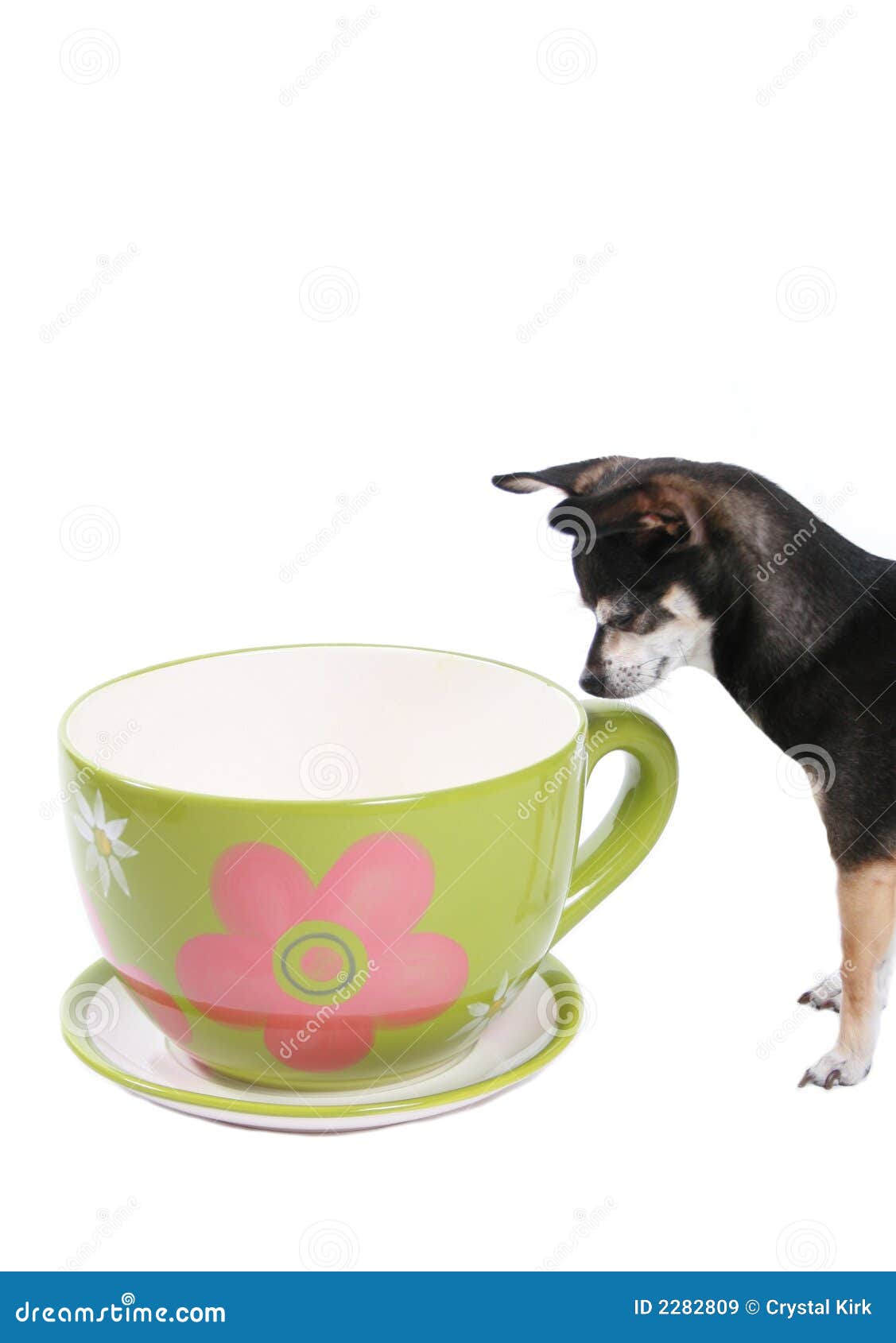 超级掌门狗创意礼物马克杯可爱卡通小狗杯送闺蜜大容量咖啡杯-阿里巴巴