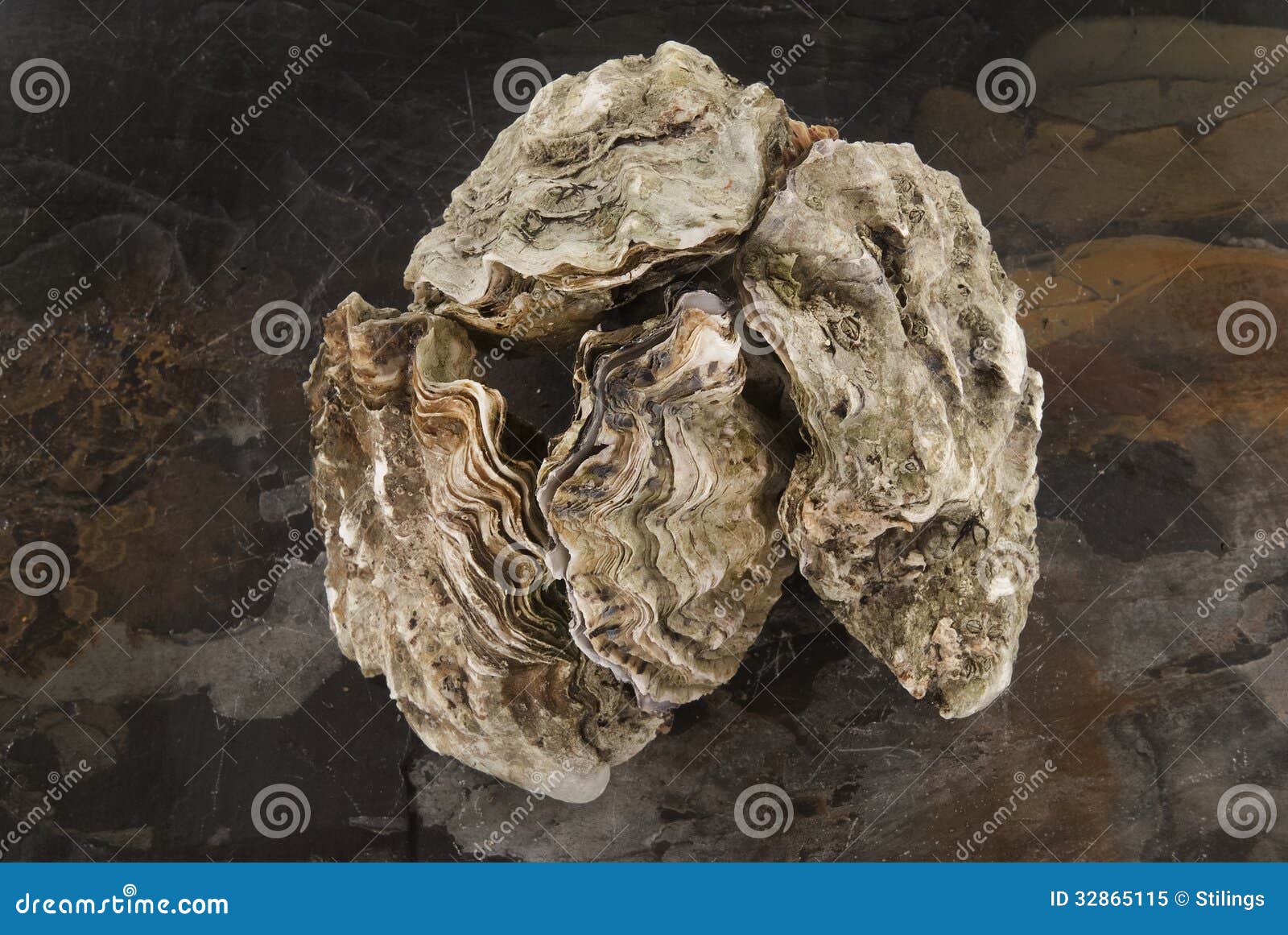 在他们的壳的新鲜的牡蛎反对白色.冻鸭腿微波炉图片