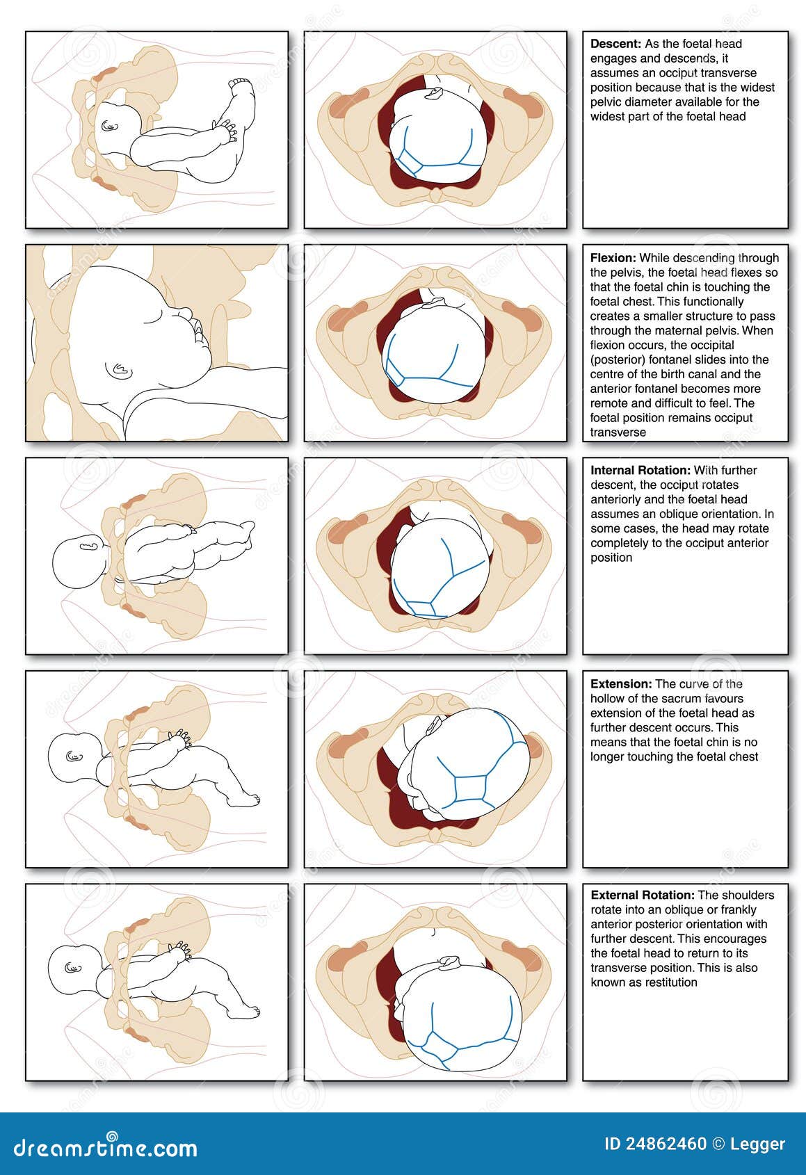 free color induced graph colorings 2015