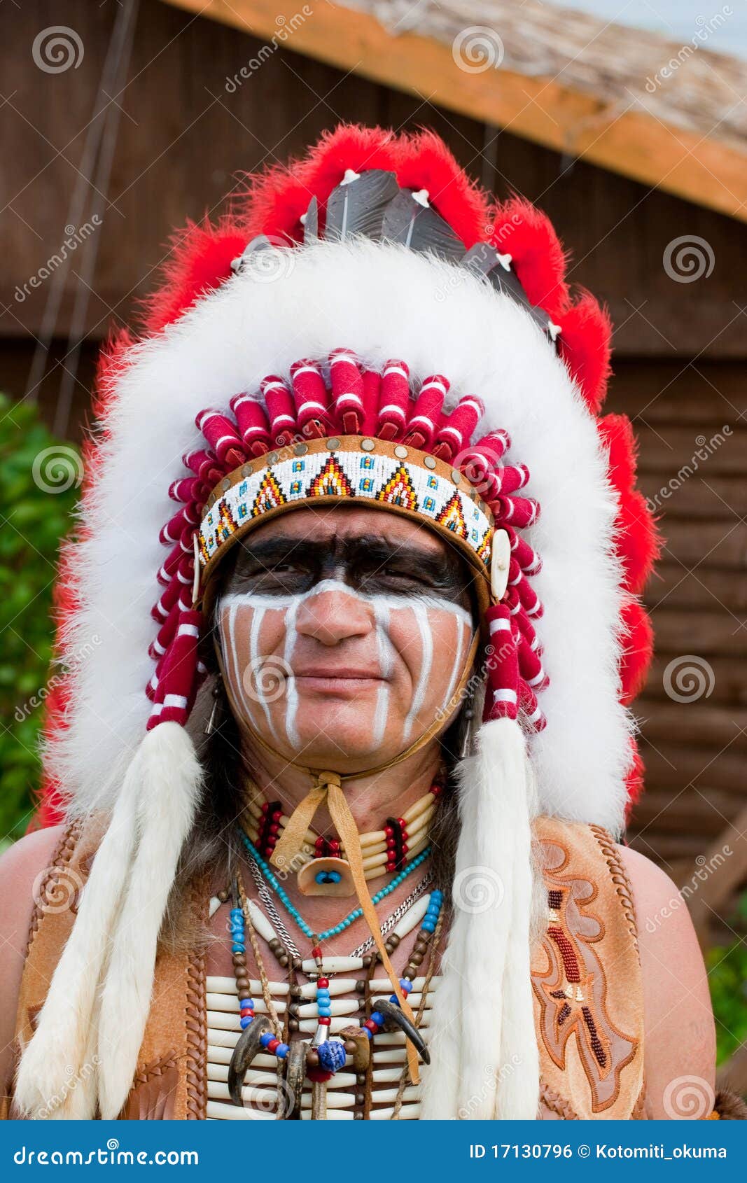 North American Indian Royalty Free Stock Image - Image: 17130796