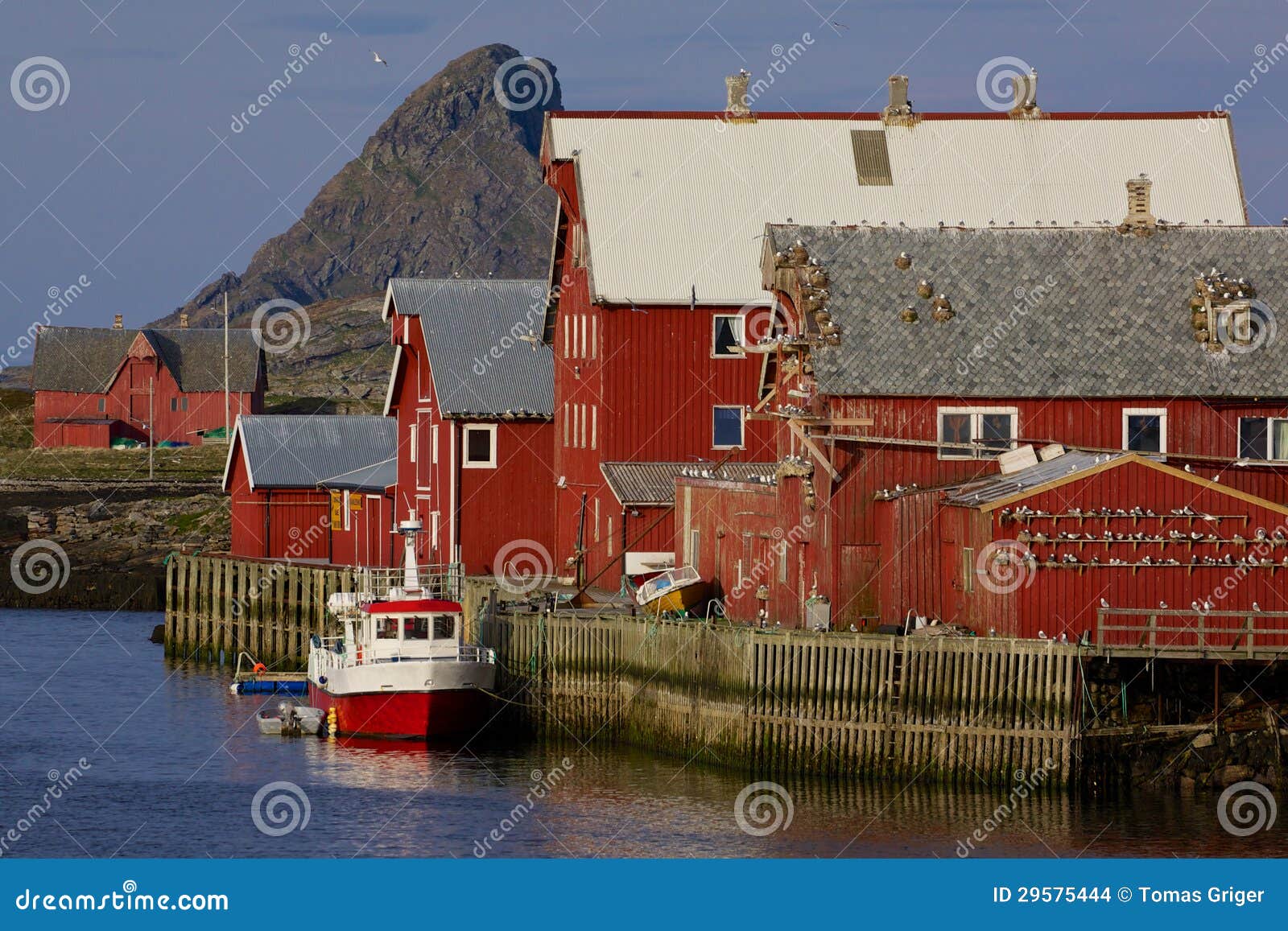 Norwegian fishing harbor