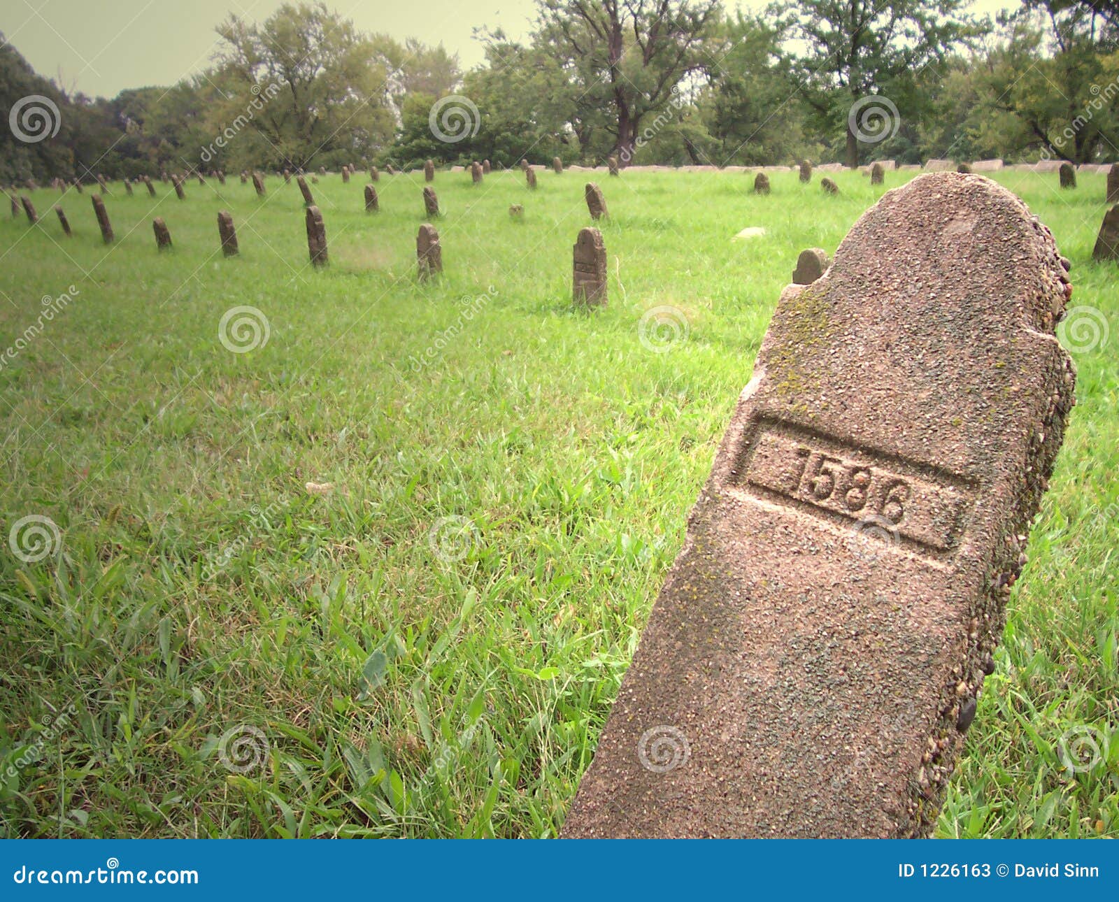 Numbered Graves Stock Photos Image 1226163