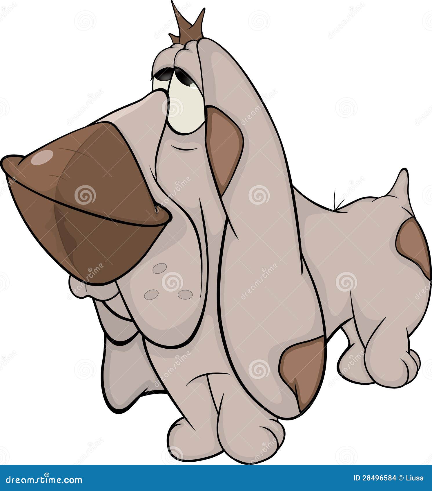 Cartoon Picture Of Hound Dog Cartoon Picture Of Hound Dog