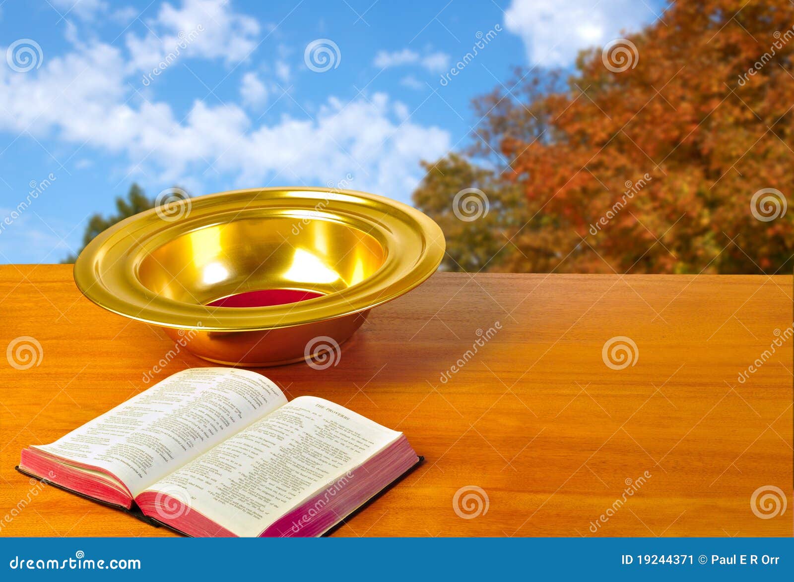Offering Plate Stock Image Image 19244371