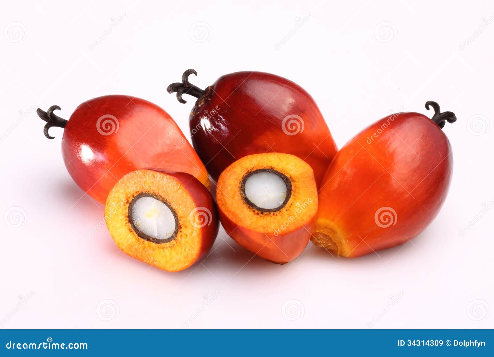 palm fruit oil fruit art palm fruit oil fruit art