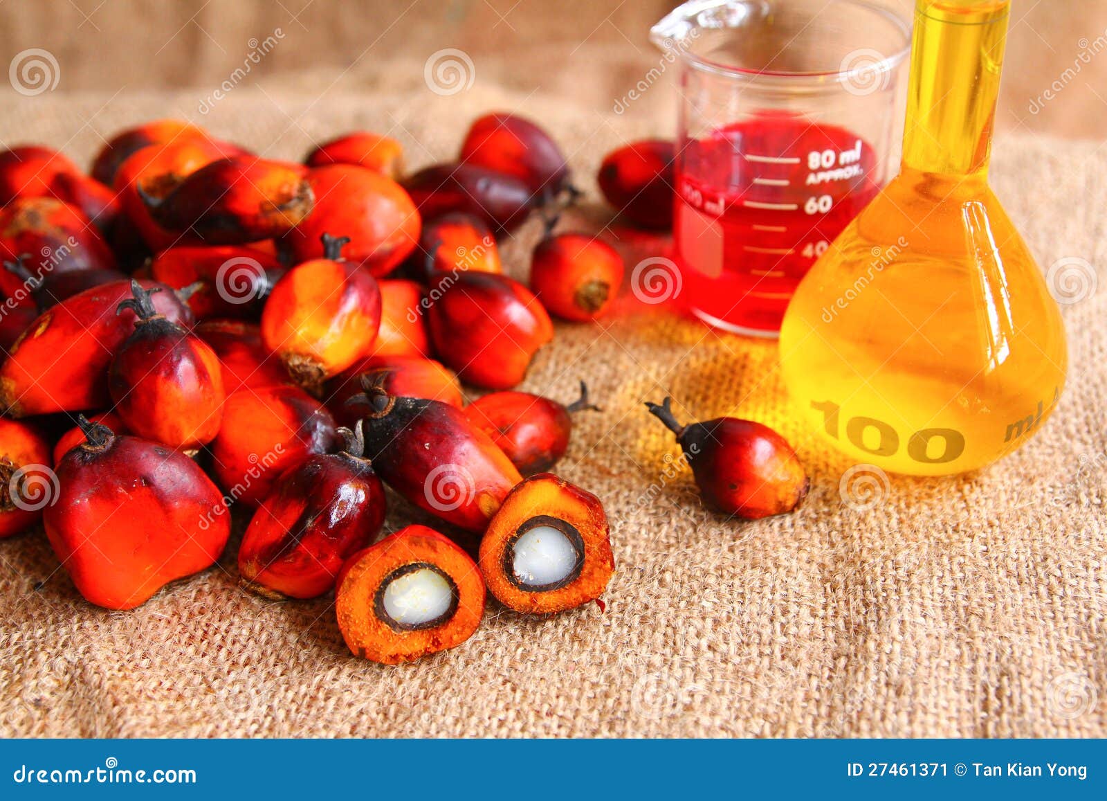 Пальмовое масло: польза и вред, пищевая ценность и химический состав, разновидности пальмового масла и его применение.
