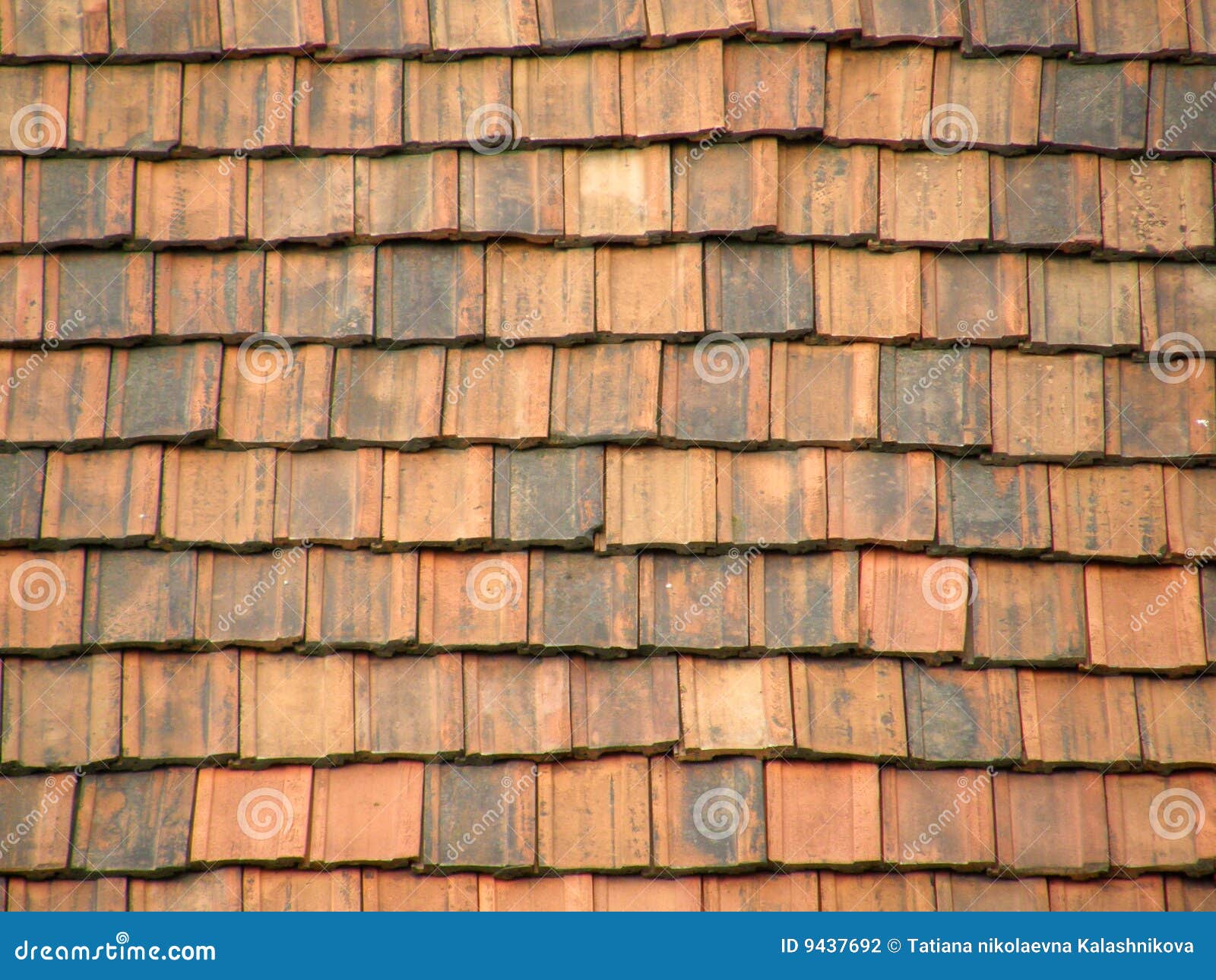 Bricklaying business plan