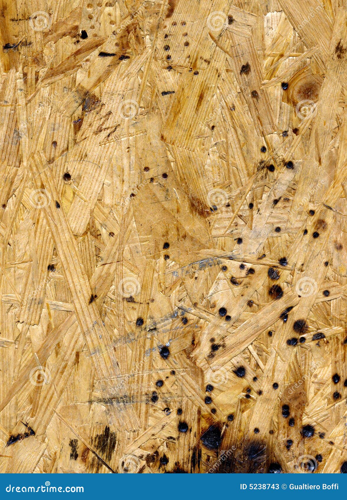 Related to 220+ Beautiful High Resolution Wood Texture Collection