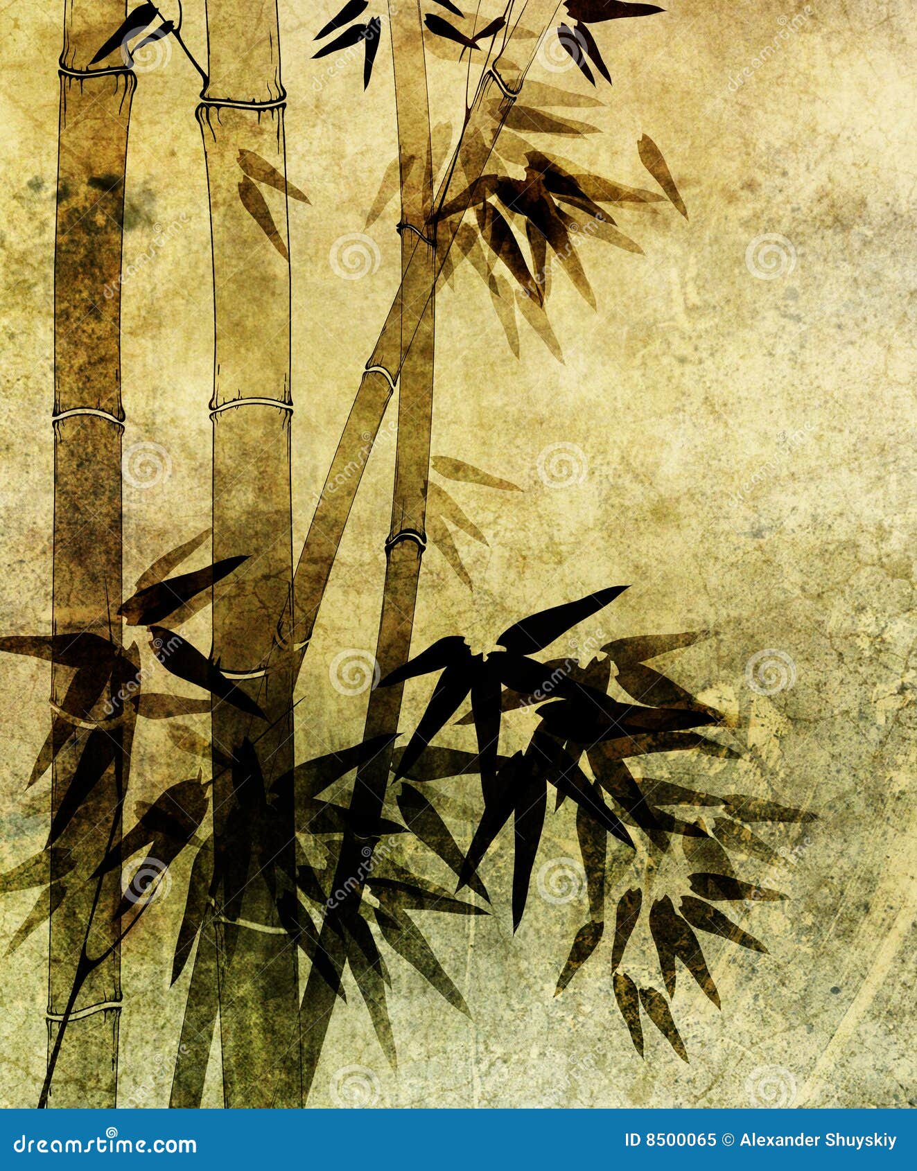Old Paper With Bamboo Pattern Royalty Free Stock Photo Image 8500065