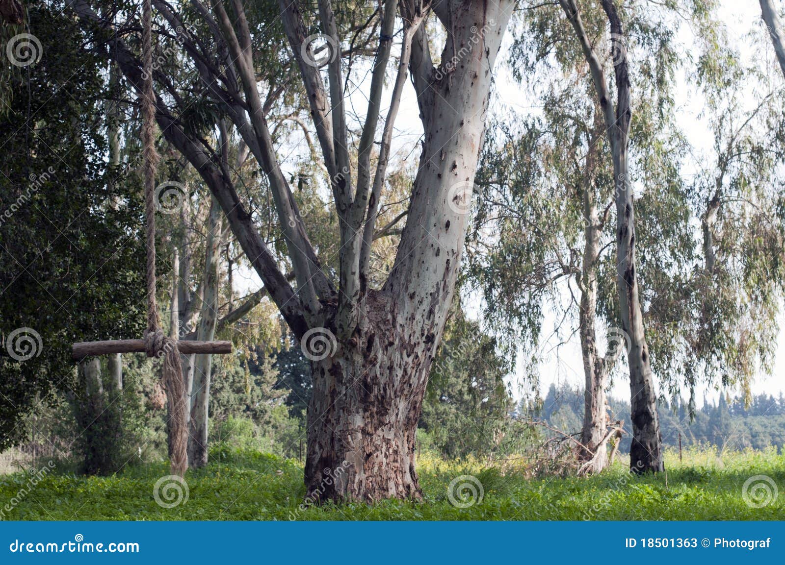 Stock Photos: Old swing