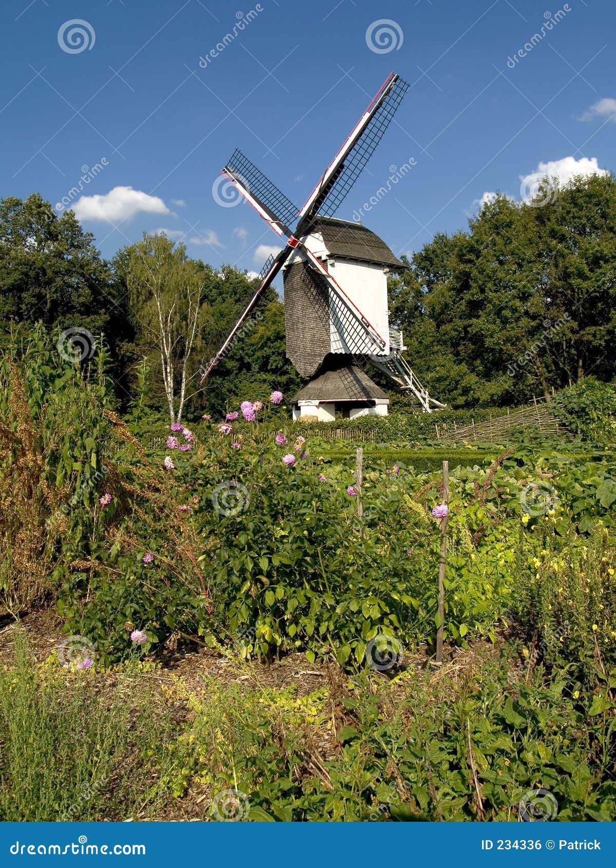 Old windmill in a garden with flowers against a blue cloudy sky on a 